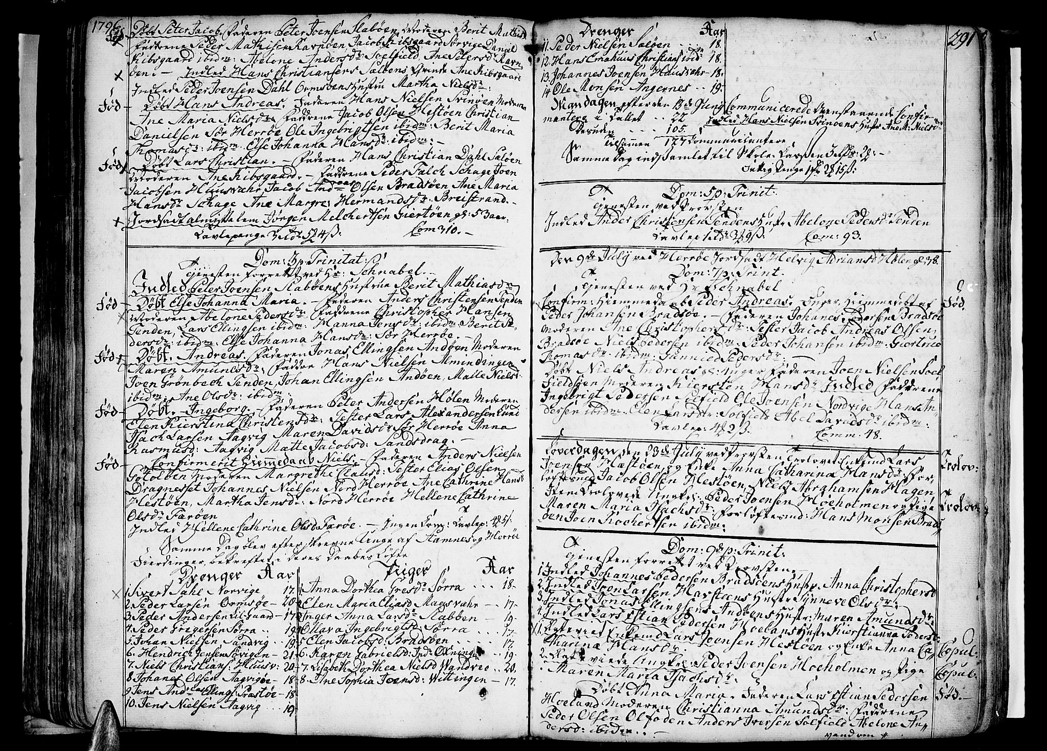 Ministerialprotokoller, klokkerbøker og fødselsregistre - Nordland, AV/SAT-A-1459/830/L0441: Ministerialbok nr. 830A07 /3, 1776-1800, s. 291