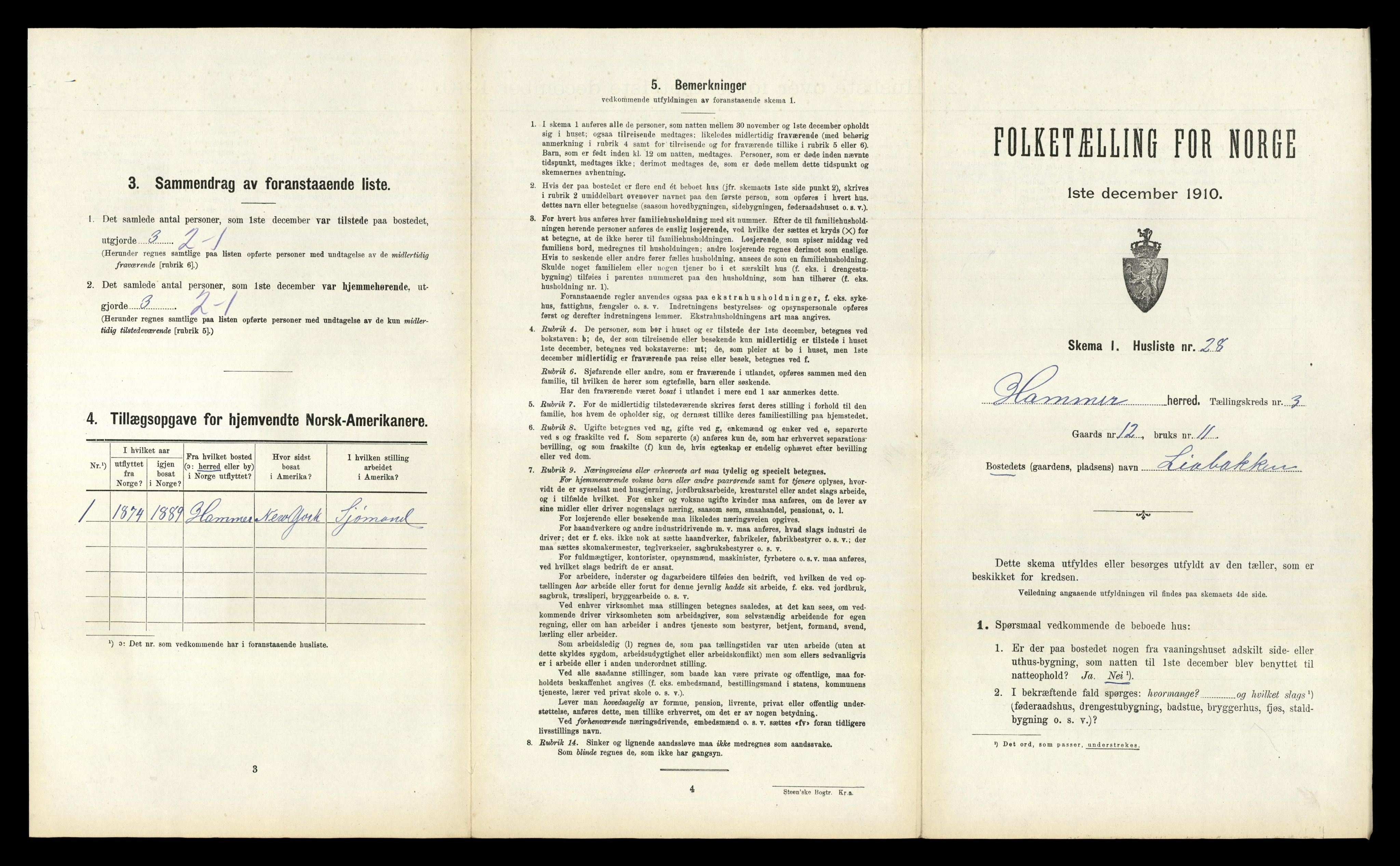 RA, Folketelling 1910 for 1254 Hamre herred, 1910, s. 202