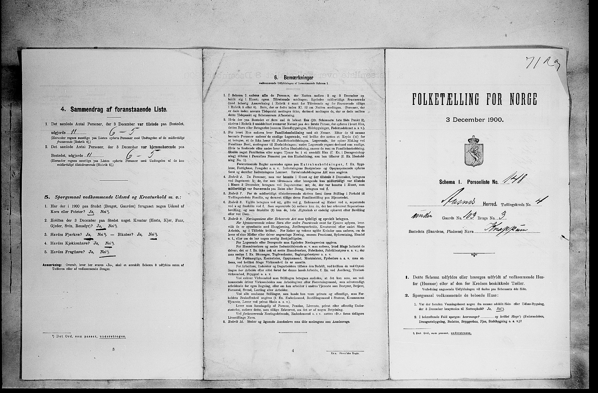SAH, Folketelling 1900 for 0425 Åsnes herred, 1900, s. 849