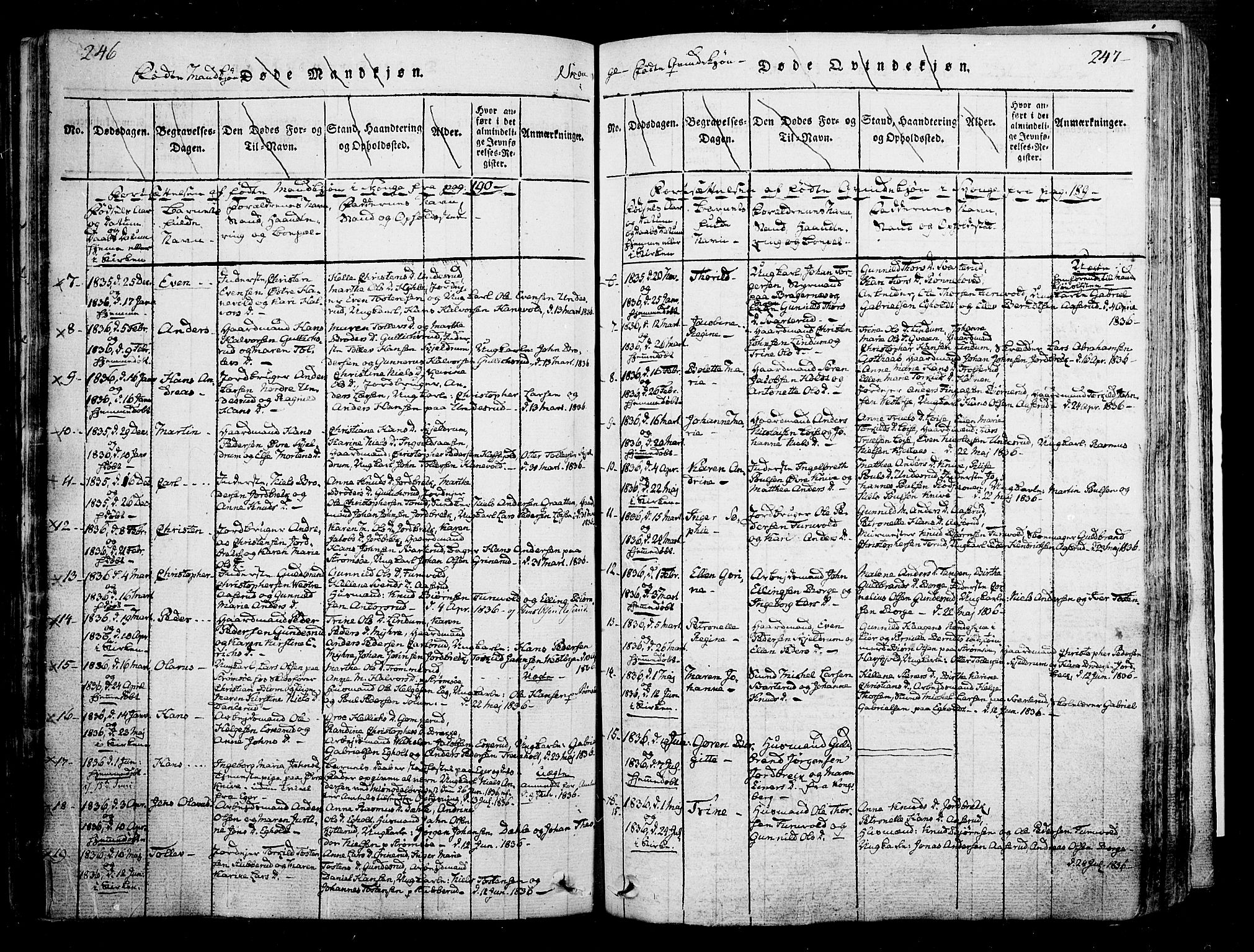 Skoger kirkebøker, SAKO/A-59/F/Fa/L0002: Ministerialbok nr. I 2 /1, 1814-1842, s. 246-247