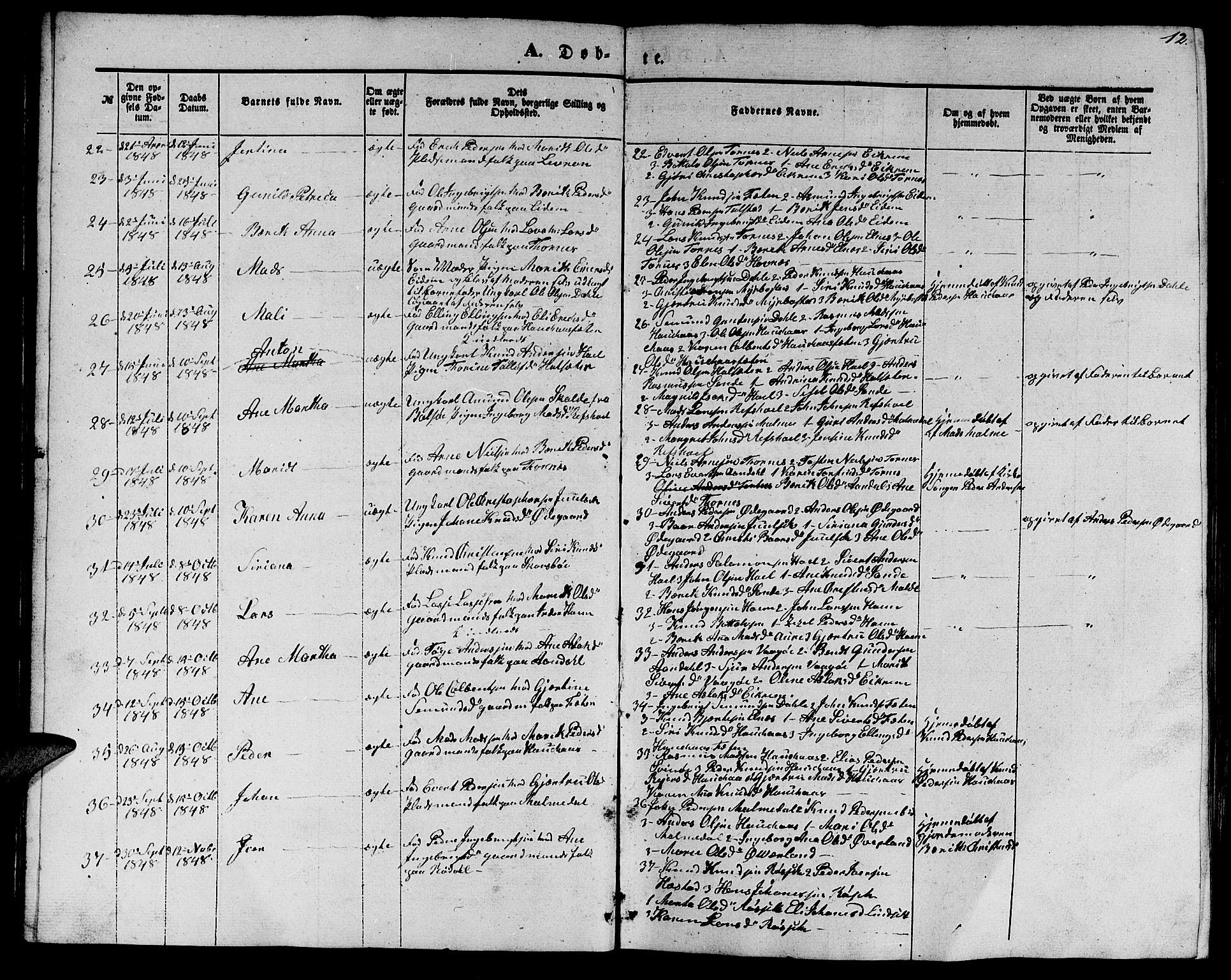 Ministerialprotokoller, klokkerbøker og fødselsregistre - Møre og Romsdal, SAT/A-1454/565/L0753: Klokkerbok nr. 565C02, 1845-1870, s. 12