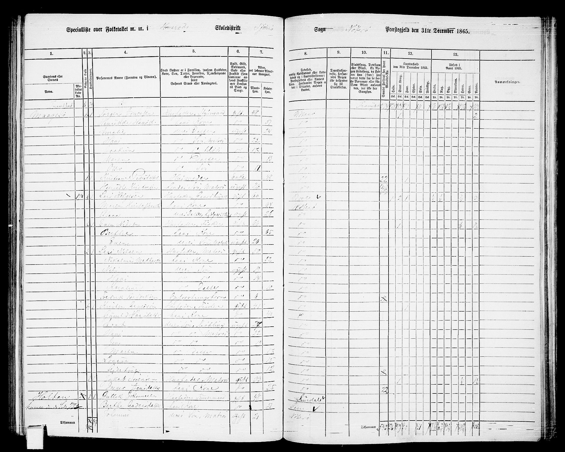 RA, Folketelling 1865 for 0722P Nøtterøy prestegjeld, 1865, s. 222