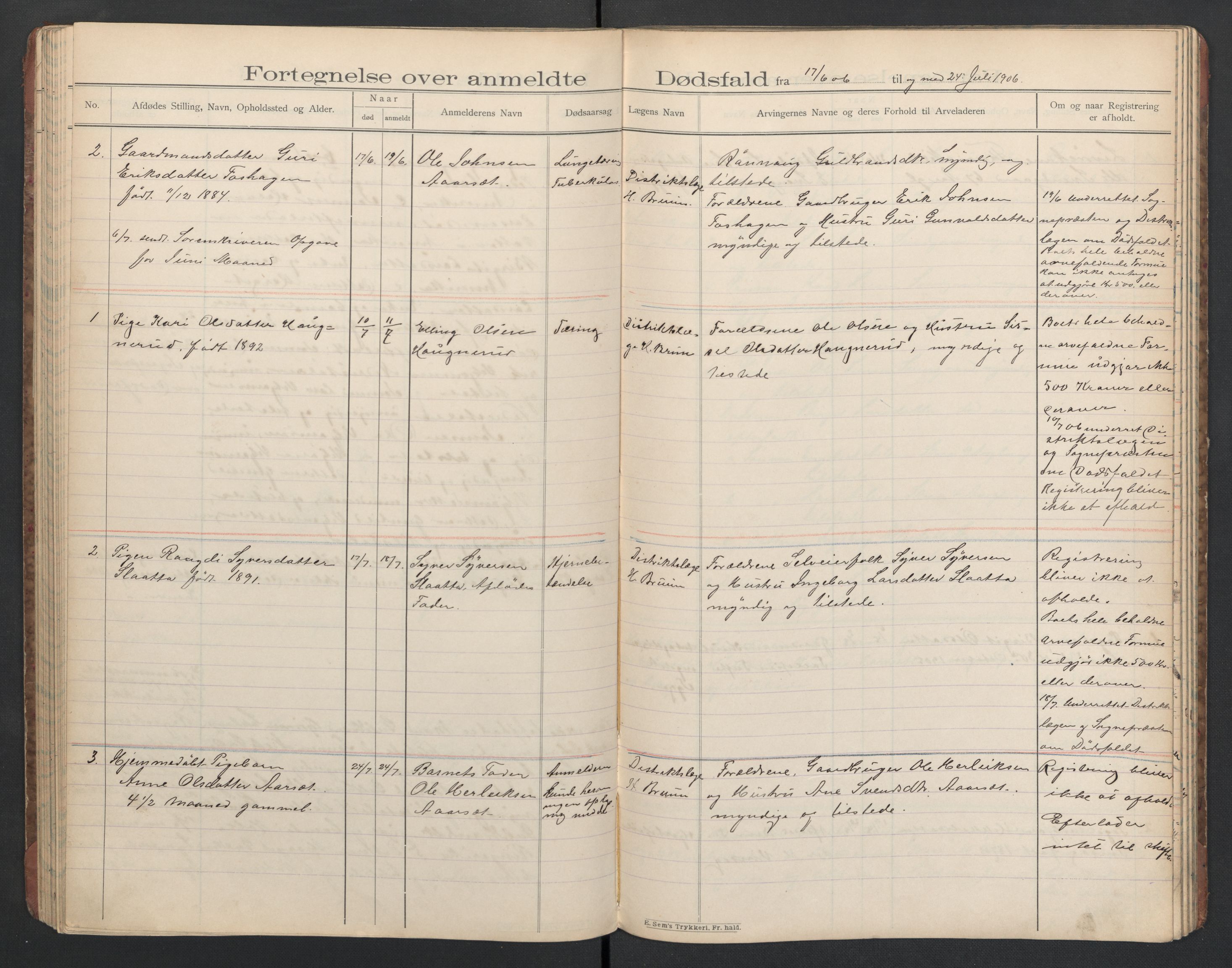 Hol lensmannskontor, AV/SAKO-A-512/H/Ha/L0003: Dødsanmeldelsesprotokoll, 1899-1911