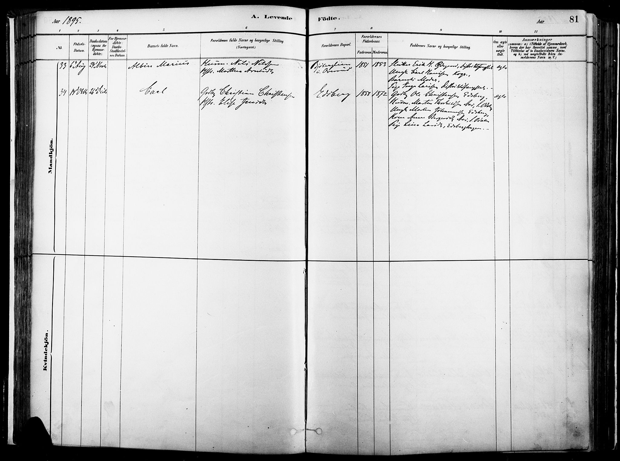 Vinger prestekontor, AV/SAH-PREST-024/H/Ha/Haa/L0014: Ministerialbok nr. 14, 1881-1900, s. 81