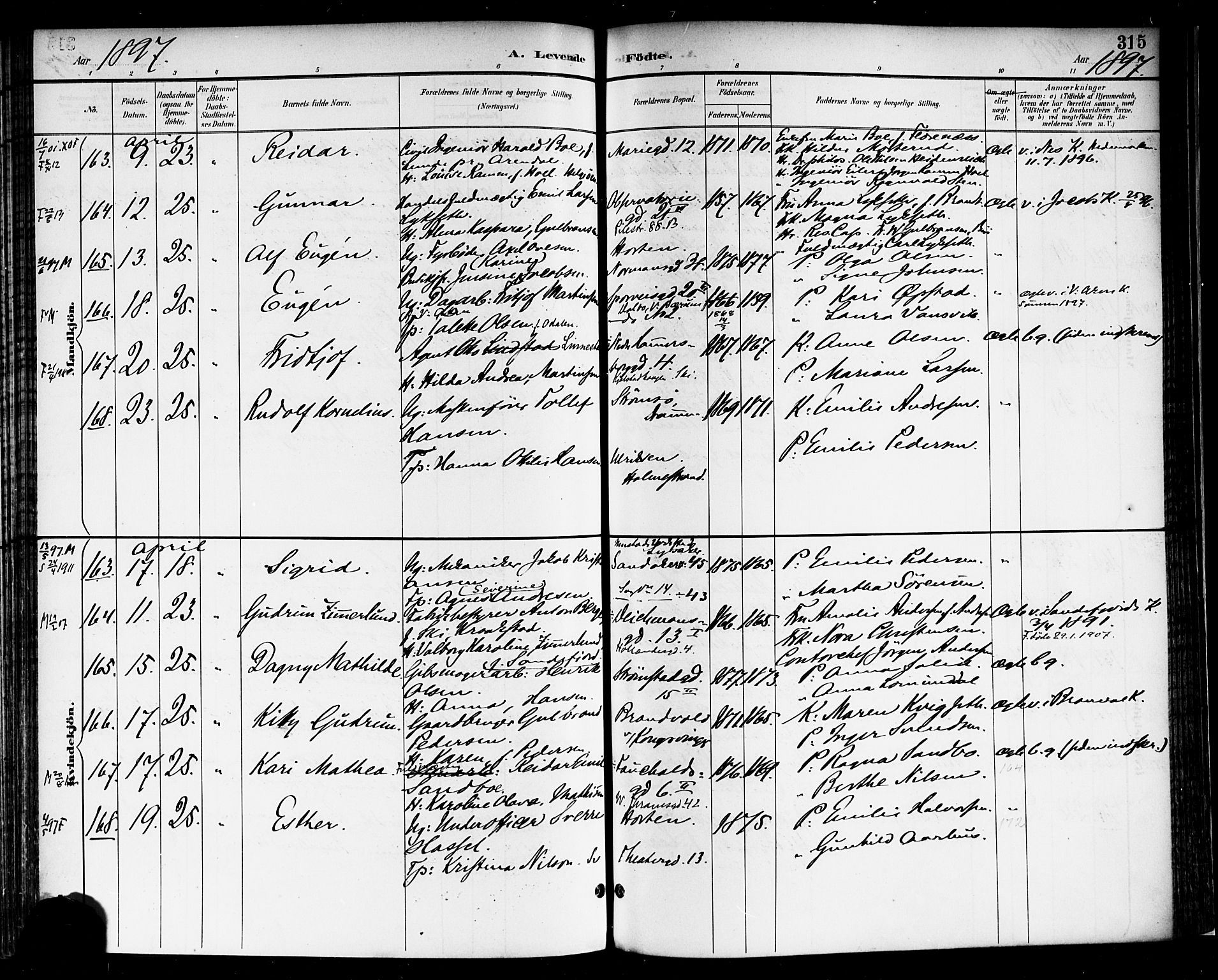 Rikshospitalet prestekontor Kirkebøker, AV/SAO-A-10309b/F/L0009: Ministerialbok nr. 9, 1894-1897, s. 315