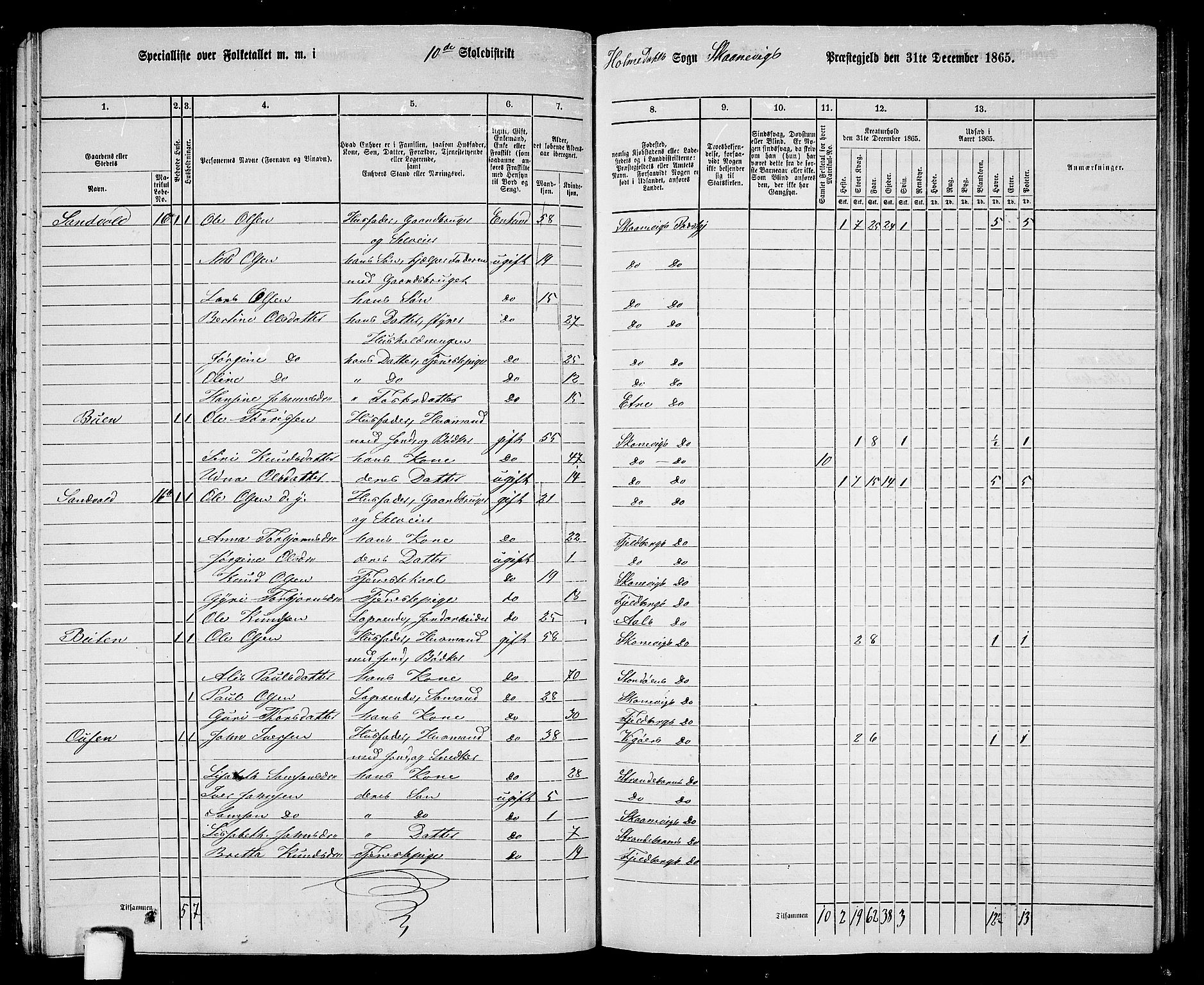 RA, Folketelling 1865 for 1212P Skånevik prestegjeld, 1865, s. 147