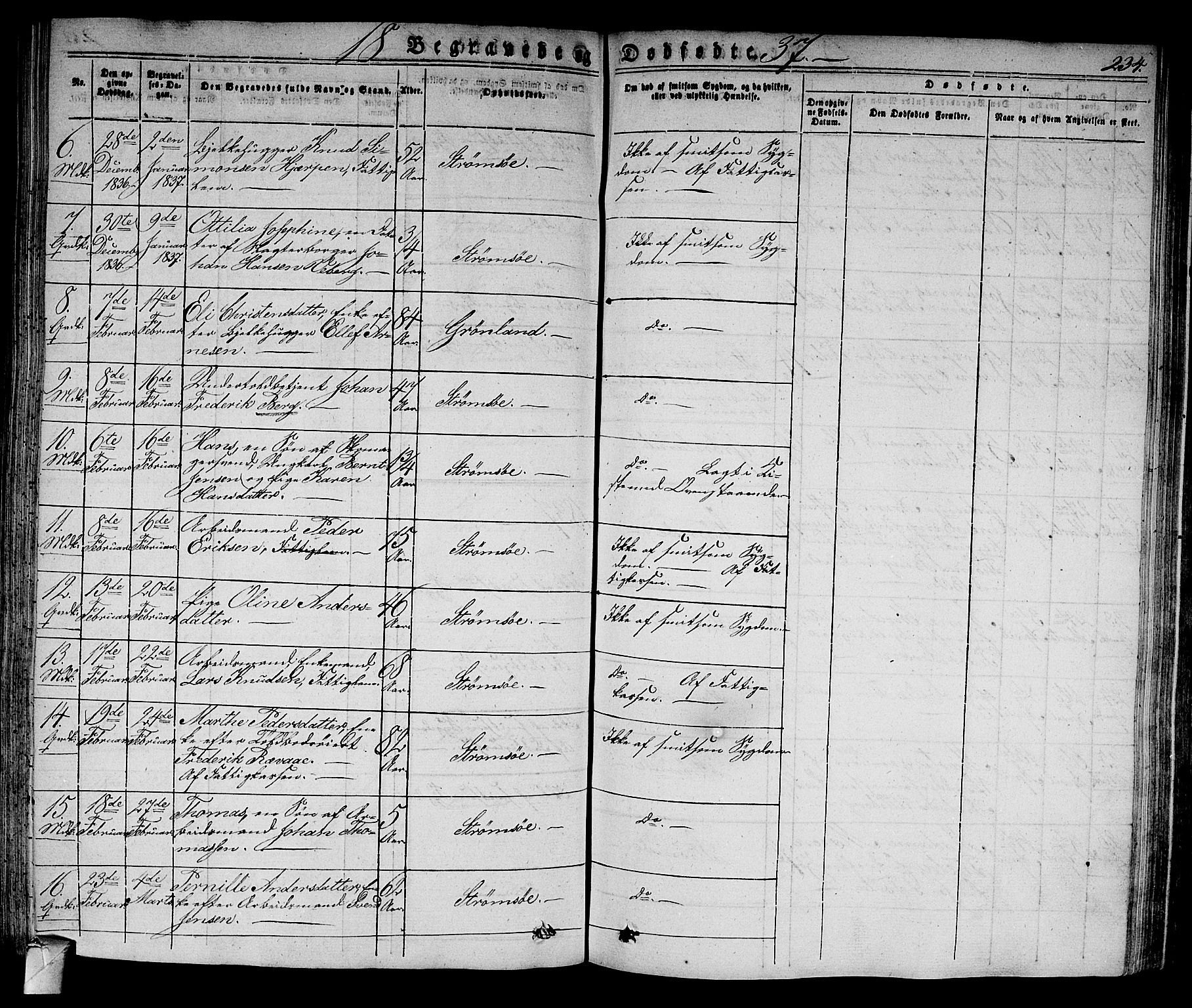 Strømsø kirkebøker, AV/SAKO-A-246/F/Fa/L0012: Ministerialbok nr. I 12, 1830-1847, s. 234