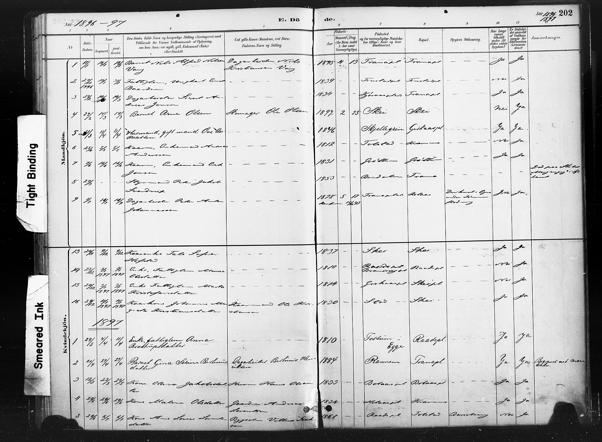 Ministerialprotokoller, klokkerbøker og fødselsregistre - Nord-Trøndelag, AV/SAT-A-1458/736/L0361: Ministerialbok nr. 736A01, 1884-1906, s. 202