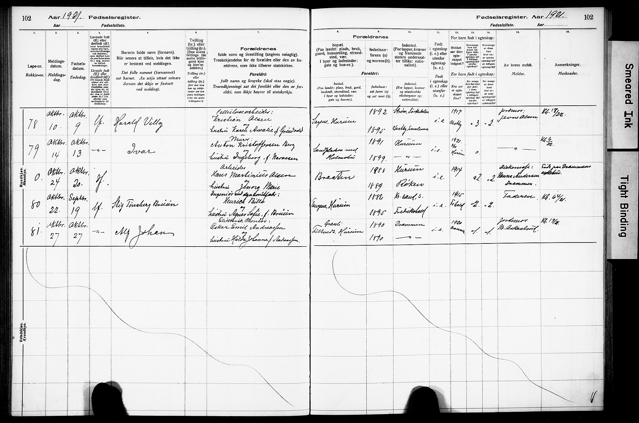 Hurum kirkebøker, AV/SAKO-A-229/J/Ja/L0001: Fødselsregister nr. 1, 1916-1928, s. 102