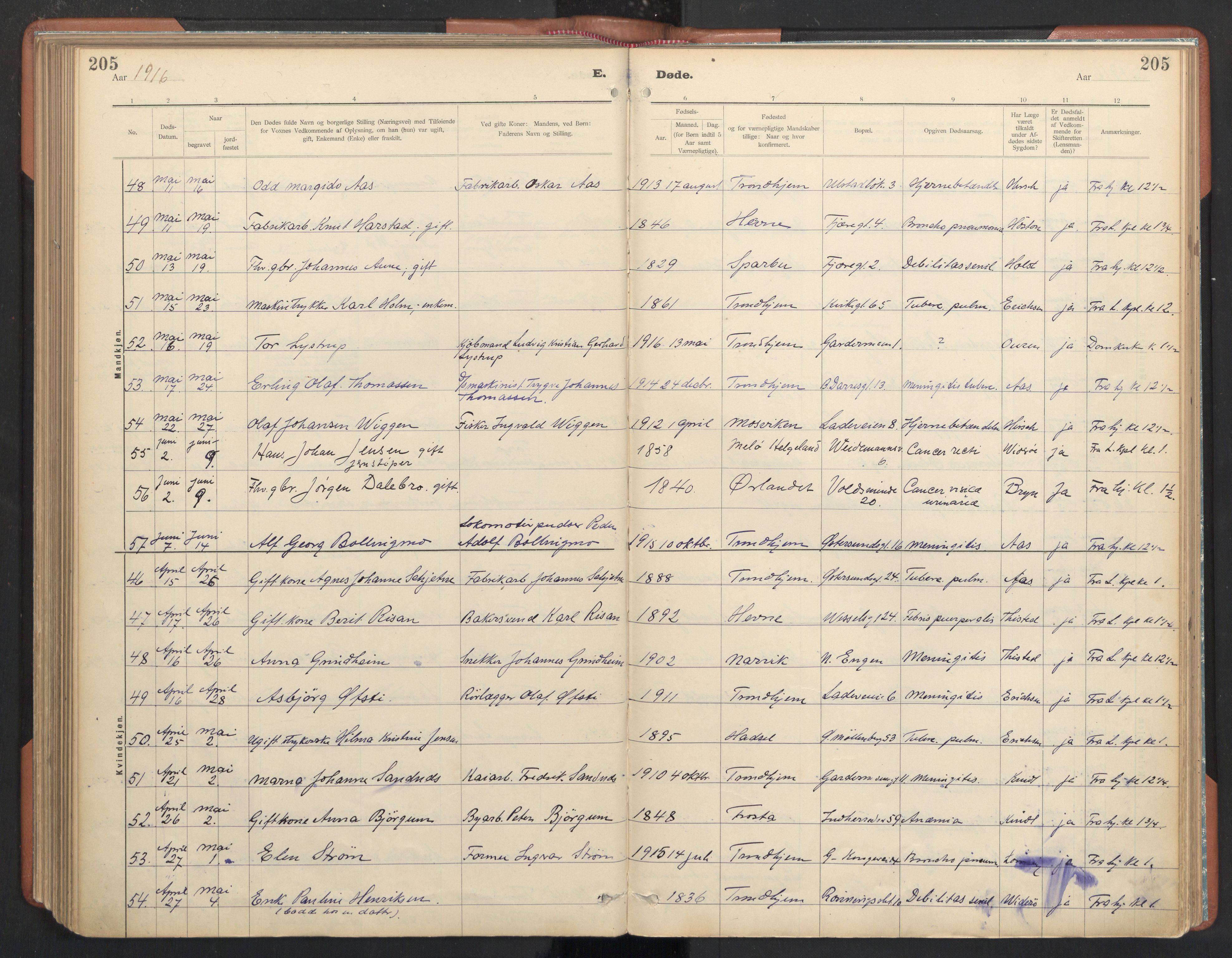 Ministerialprotokoller, klokkerbøker og fødselsregistre - Sør-Trøndelag, SAT/A-1456/605/L0244: Ministerialbok nr. 605A06, 1908-1954, s. 205