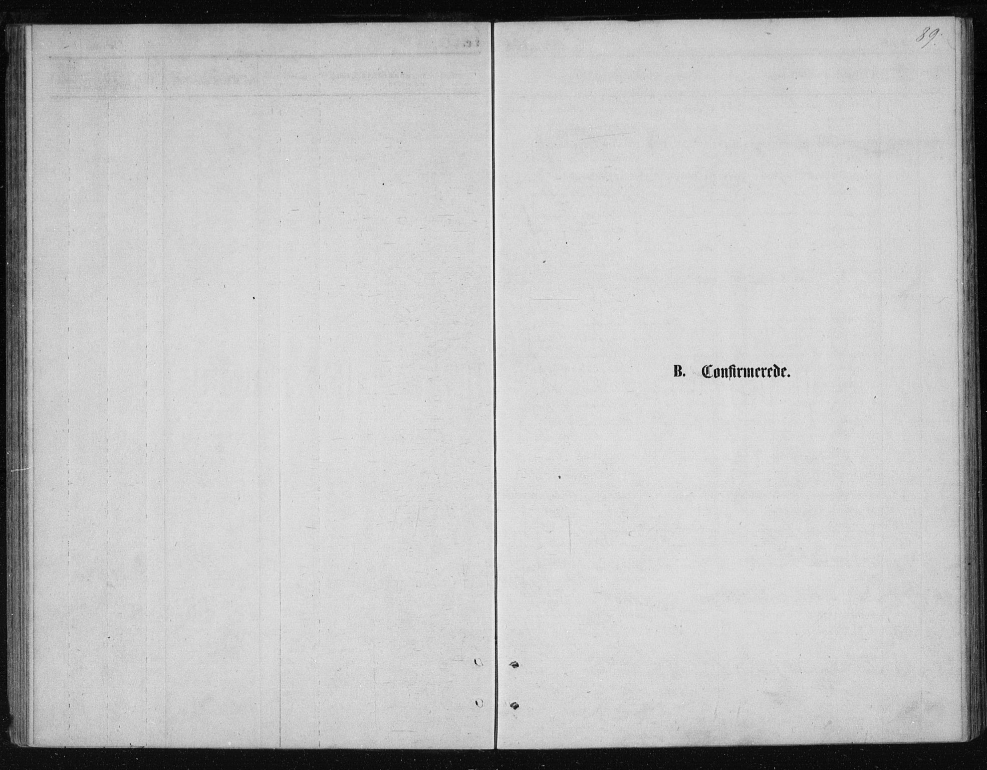 Ministerialprotokoller, klokkerbøker og fødselsregistre - Nordland, AV/SAT-A-1459/834/L0506: Ministerialbok nr. 834A04, 1872-1878, s. 89