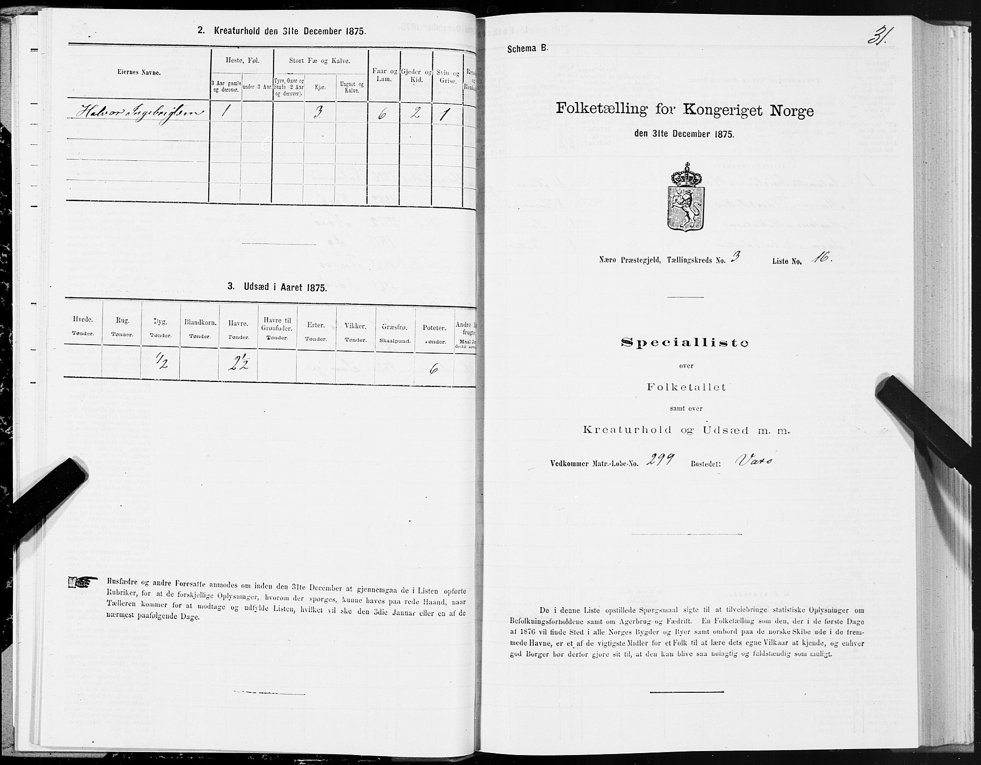 SAT, Folketelling 1875 for 1751P Nærøy prestegjeld, 1875, s. 2031