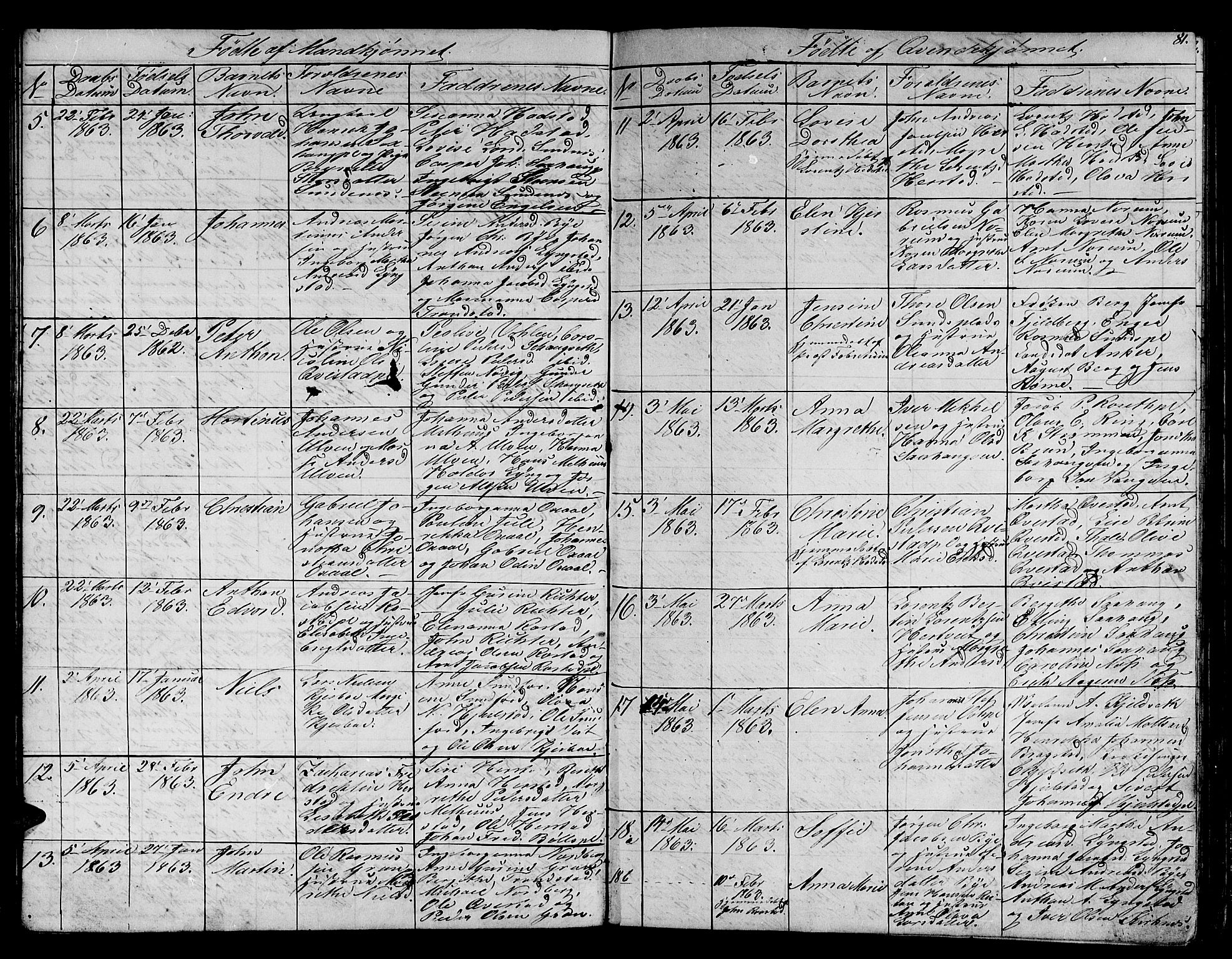 Ministerialprotokoller, klokkerbøker og fødselsregistre - Nord-Trøndelag, SAT/A-1458/730/L0299: Klokkerbok nr. 730C02, 1849-1871, s. 81