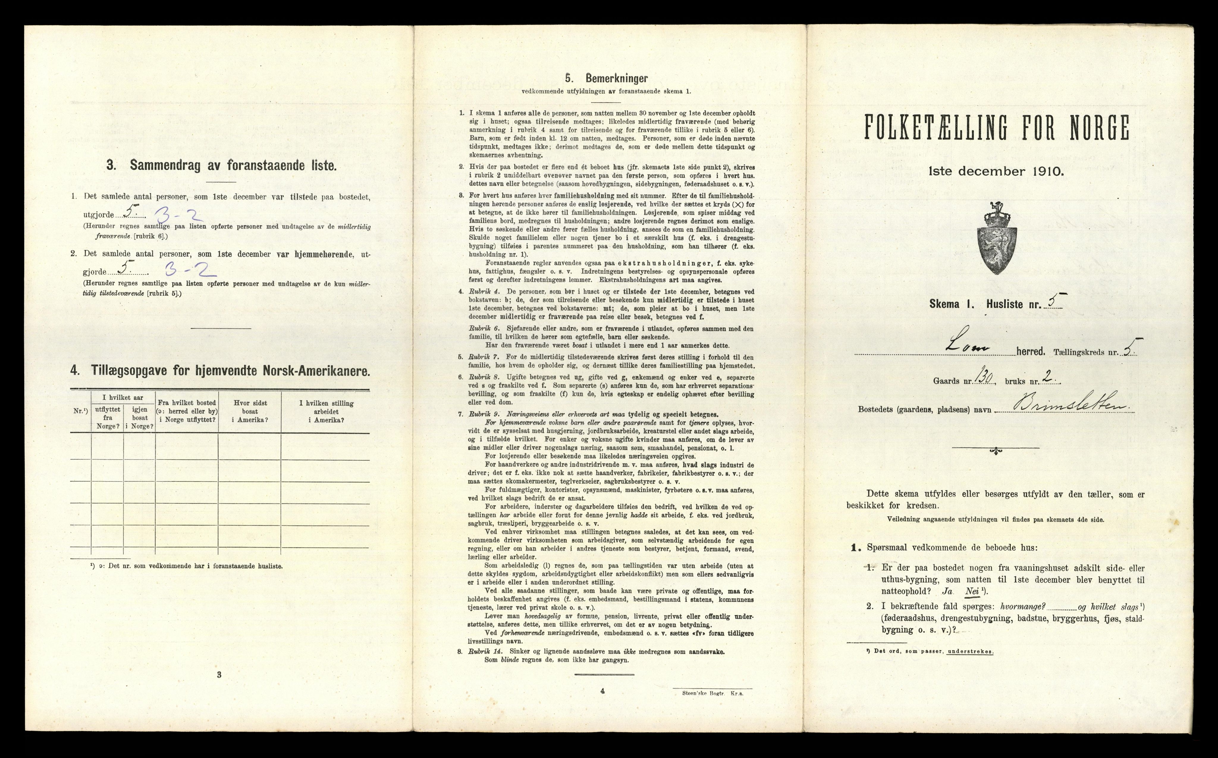 RA, Folketelling 1910 for 0514 Lom herred, 1910, s. 703