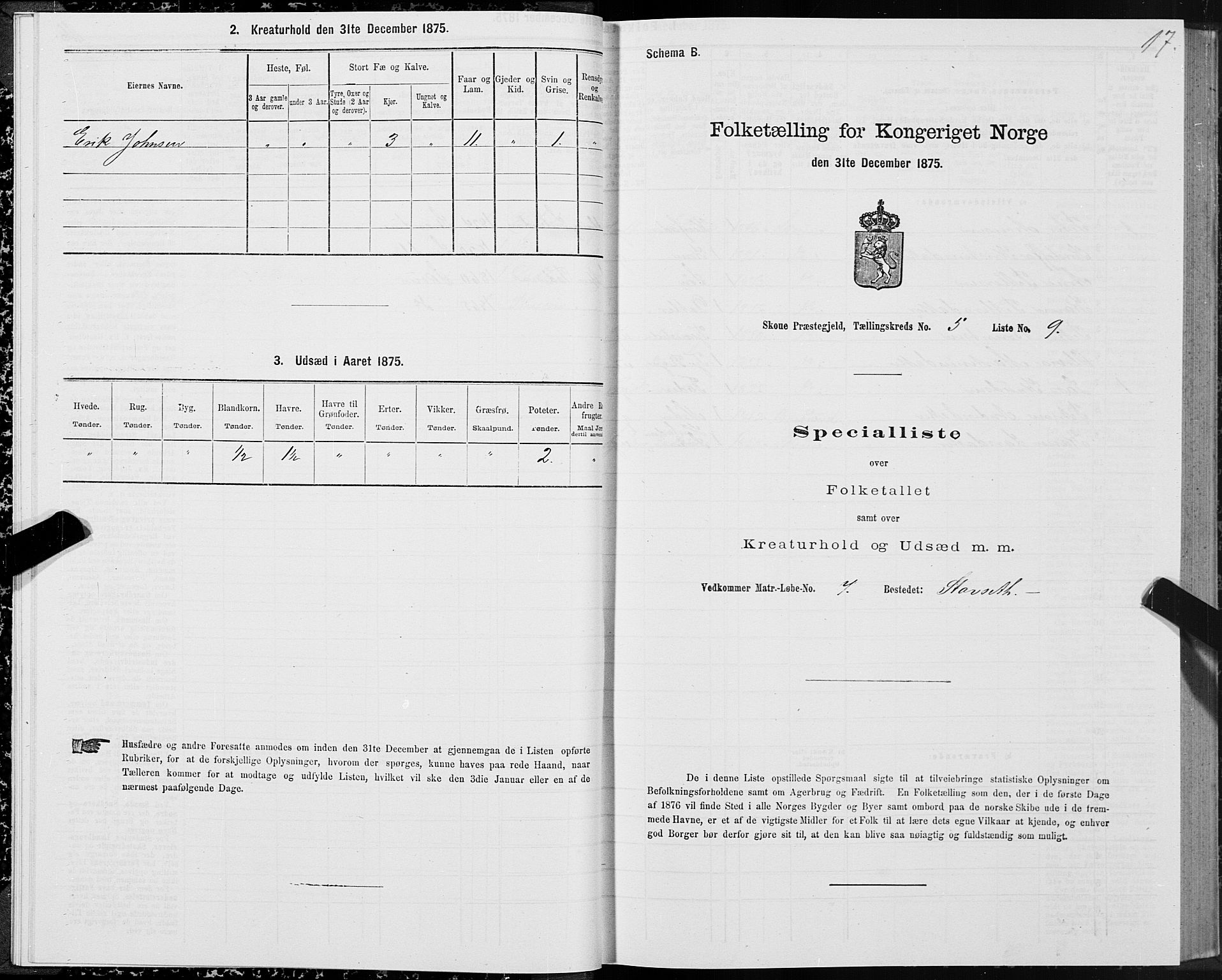 SAT, Folketelling 1875 for 1529P Skodje prestegjeld, 1875, s. 2017
