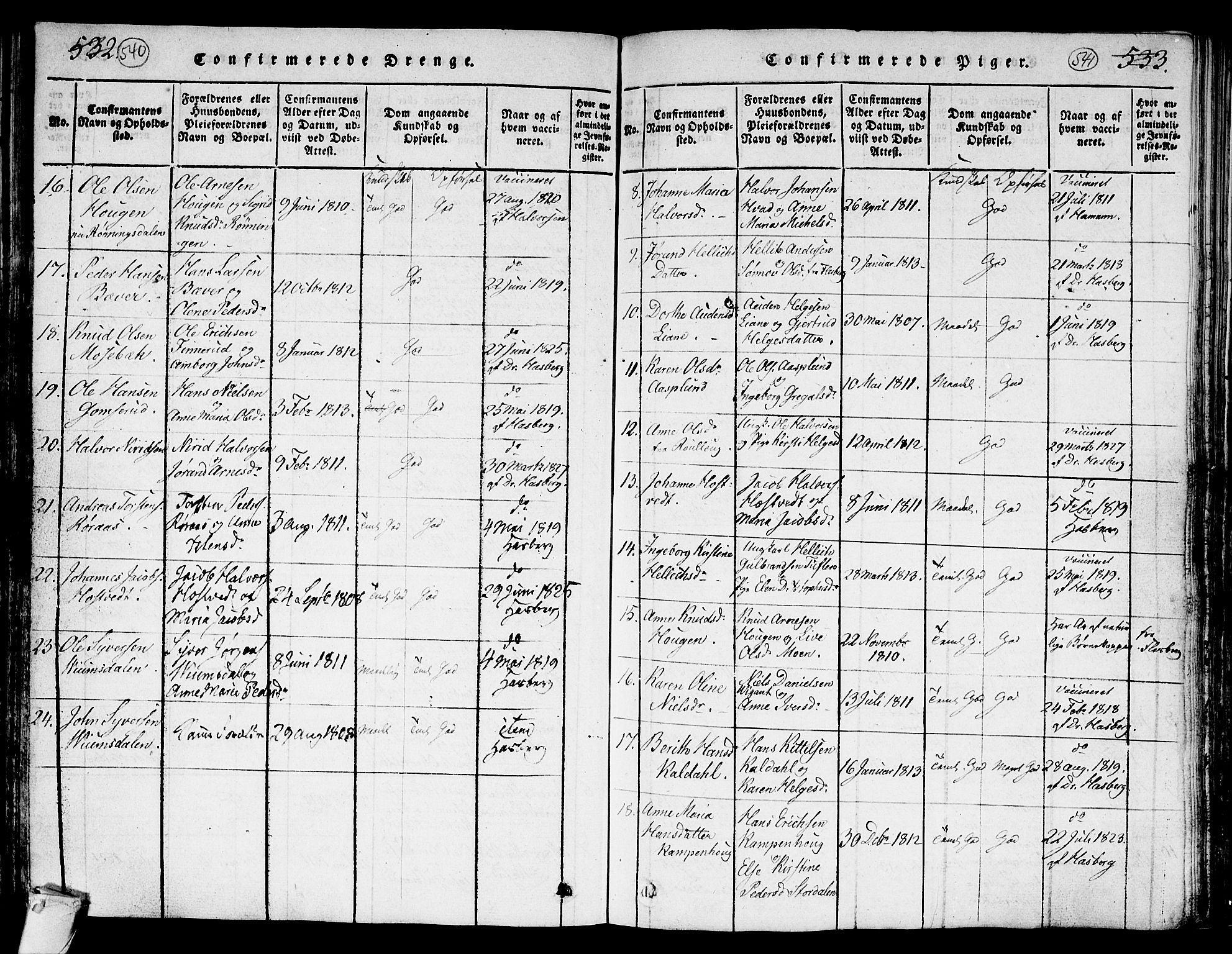 Kongsberg kirkebøker, AV/SAKO-A-22/G/Ga/L0001: Klokkerbok nr. 1, 1816-1839, s. 540-541