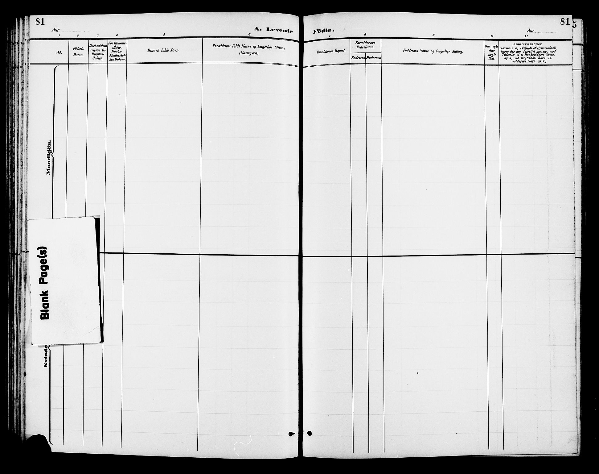 Gjerstad sokneprestkontor, SAK/1111-0014/F/Fb/Fba/L0007: Klokkerbok nr. B 7, 1891-1908, s. 81