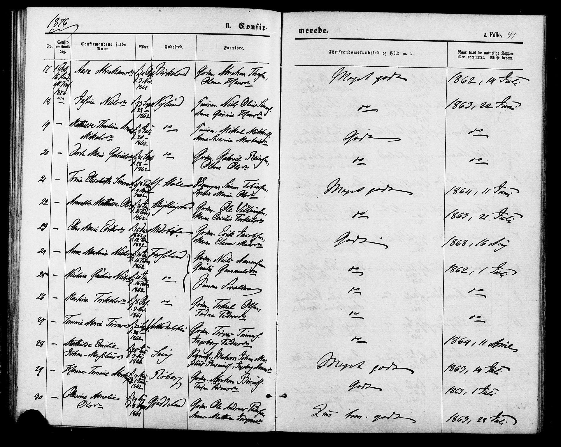 Sør-Audnedal sokneprestkontor, AV/SAK-1111-0039/F/Fa/Fab/L0008: Ministerialbok nr. A 8, 1876-1881, s. 41