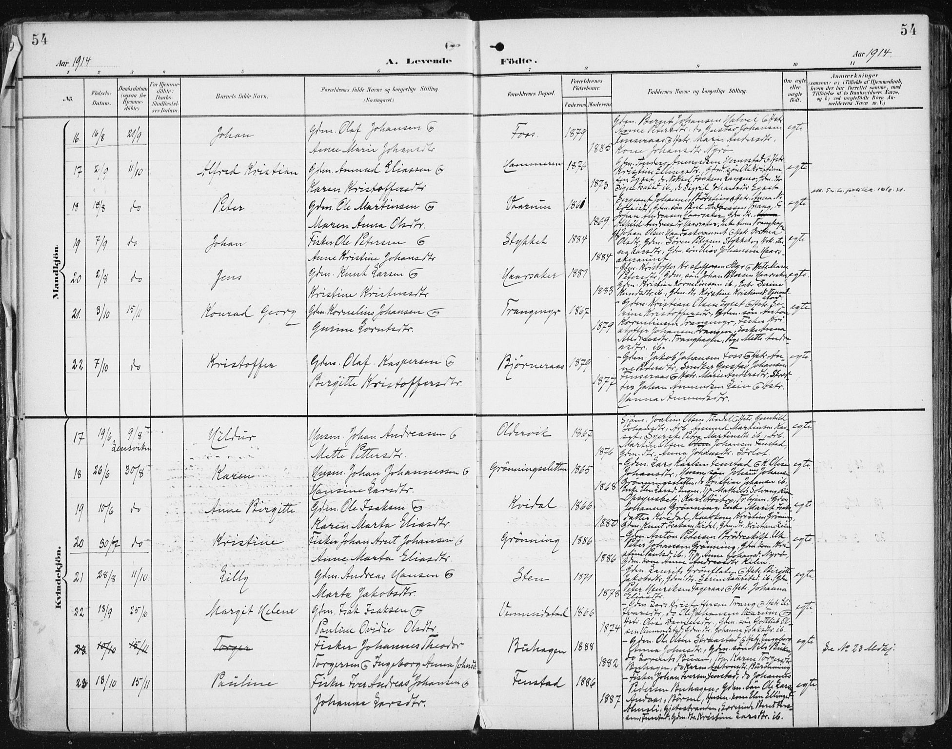 Ministerialprotokoller, klokkerbøker og fødselsregistre - Sør-Trøndelag, SAT/A-1456/646/L0616: Ministerialbok nr. 646A14, 1900-1918, s. 54