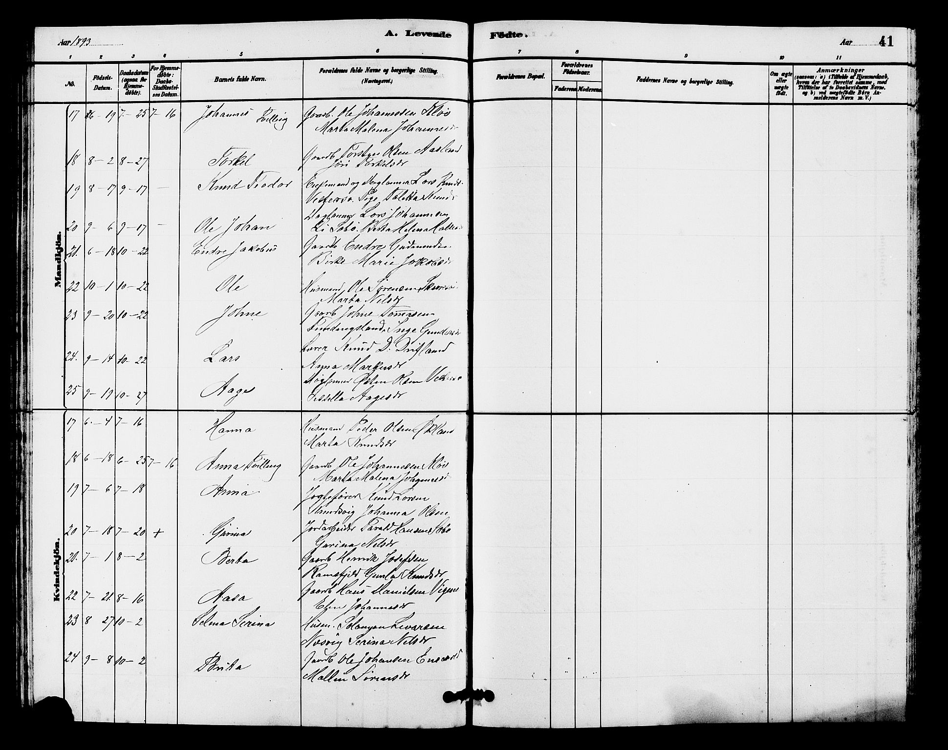 Hjelmeland sokneprestkontor, AV/SAST-A-101843/01/V/L0007: Klokkerbok nr. B 7, 1880-1909, s. 41