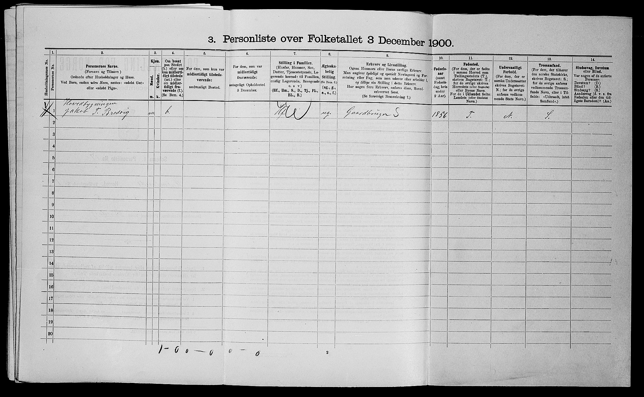 SAST, Folketelling 1900 for 1133 Hjelmeland herred, 1900, s. 119