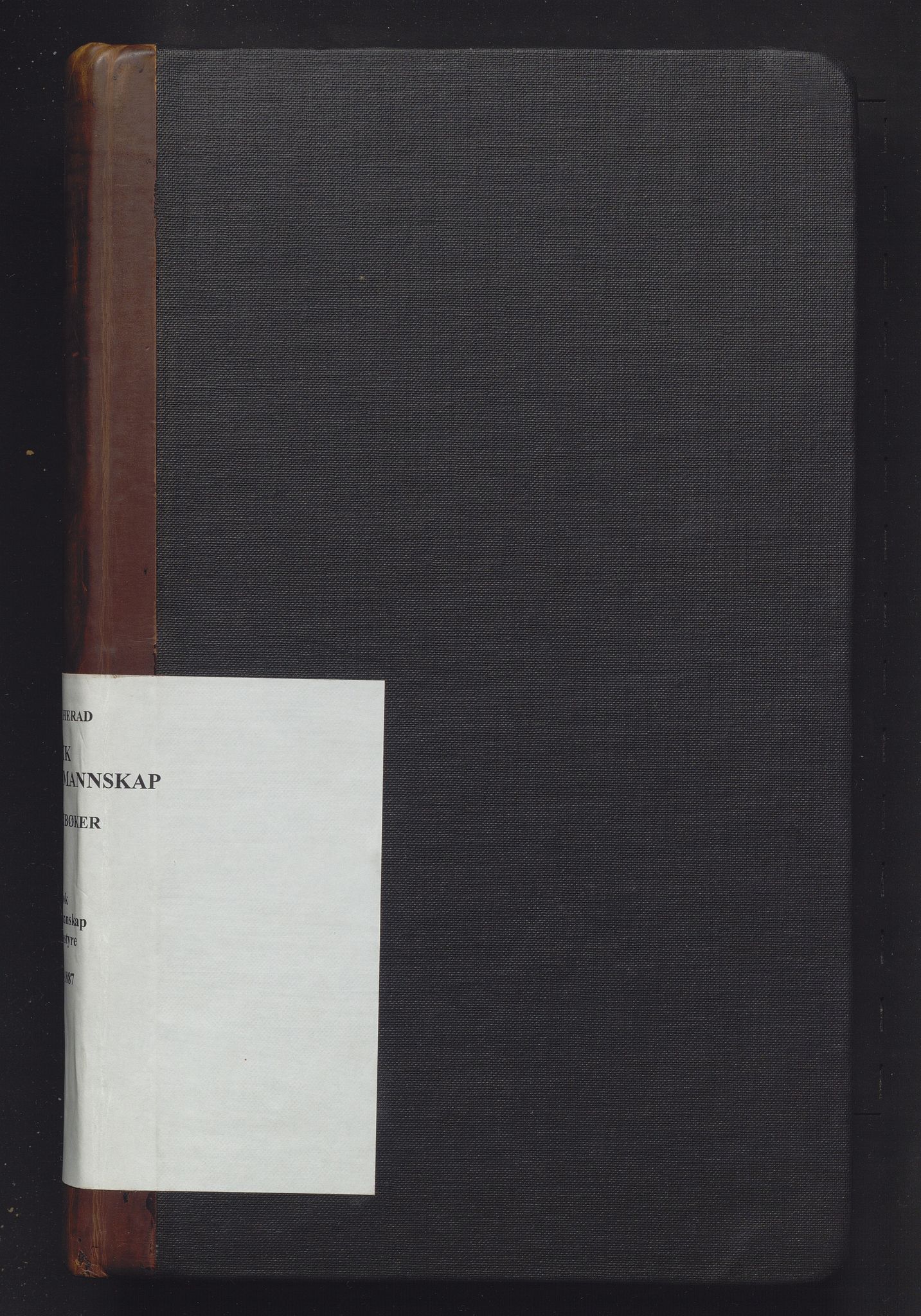 Ulvik herad. Formannskapet, IKAH/1233-021/A/Aa/Aaa/L0003: Møtebok for formannskap, heradsstyre og soknestyra i Eidfjord, Graven og Ulvik soknekommunar, 1873-1887