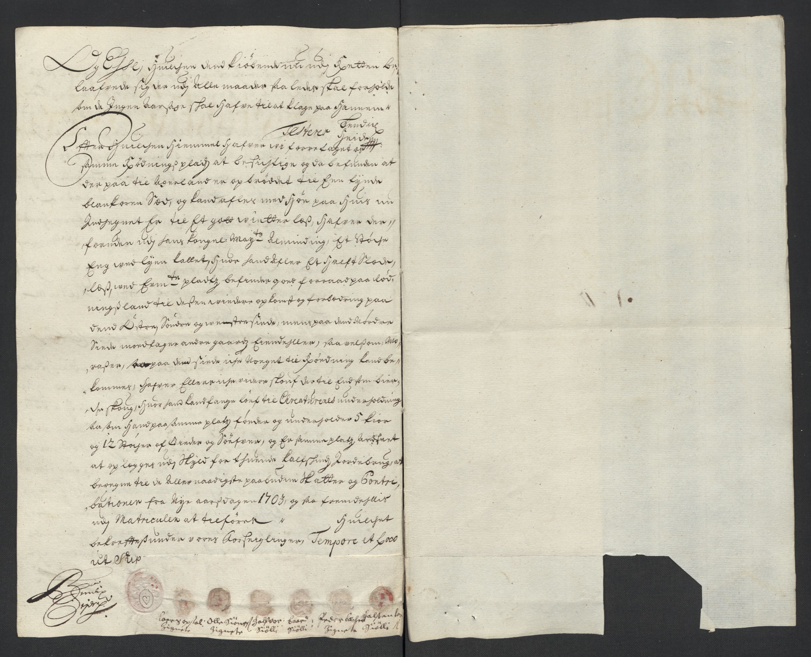 Rentekammeret inntil 1814, Reviderte regnskaper, Fogderegnskap, AV/RA-EA-4092/R13/L0841: Fogderegnskap Solør, Odal og Østerdal, 1703, s. 202