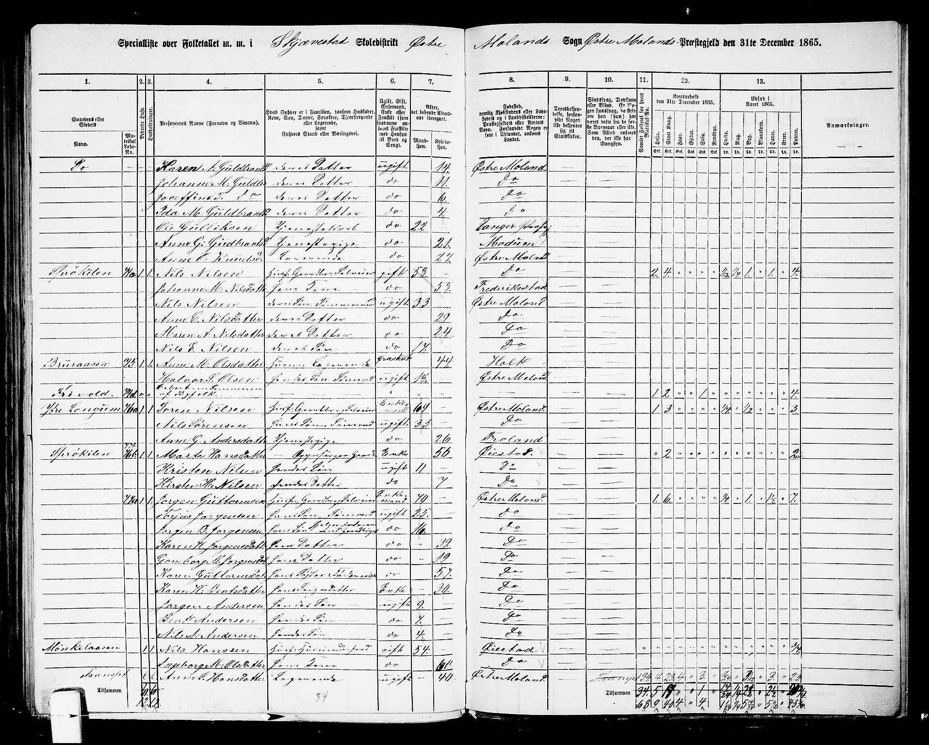 RA, Folketelling 1865 for 0918P Austre Moland prestegjeld, 1865, s. 310