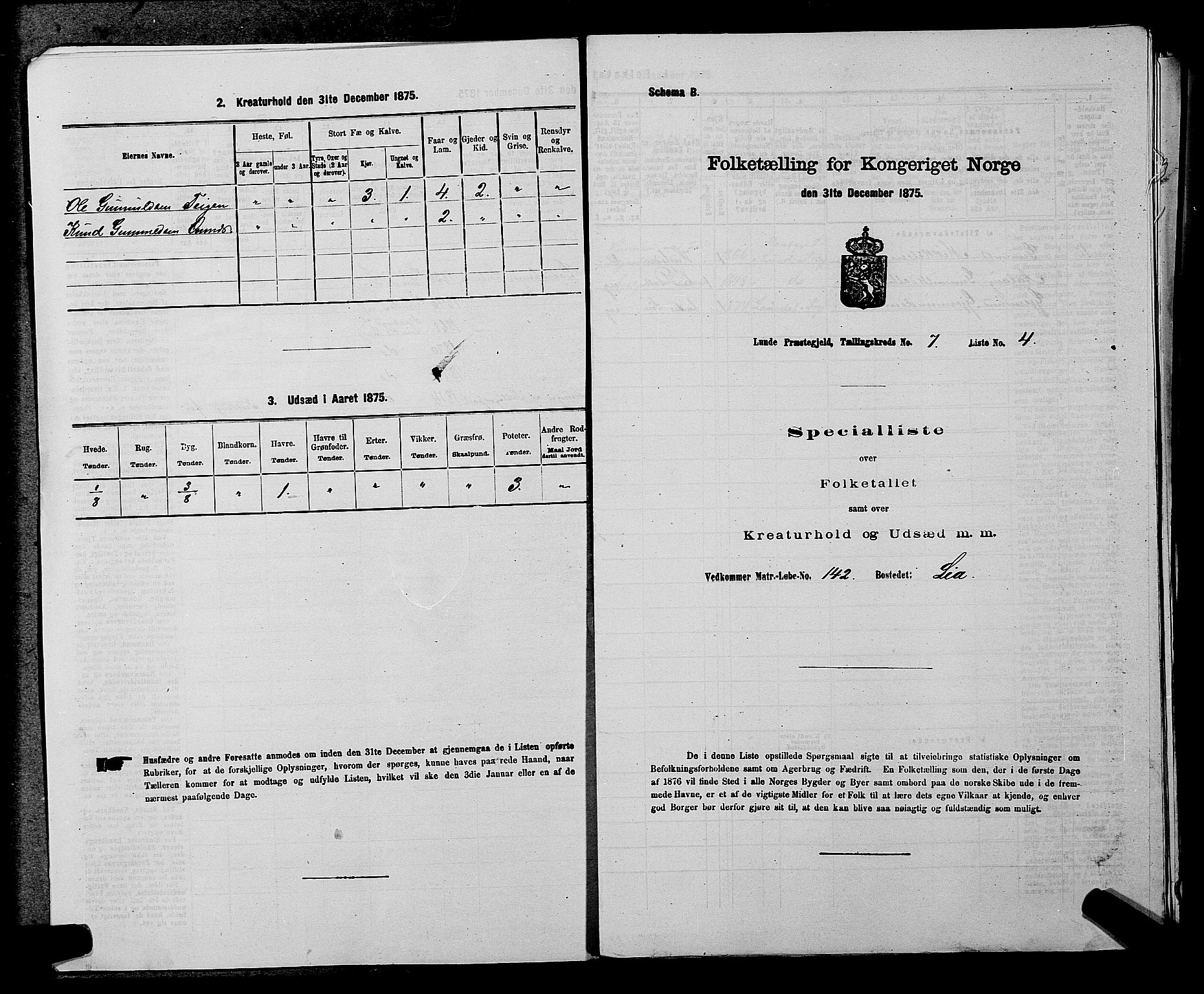 SAKO, Folketelling 1875 for 0820P Lunde prestegjeld, 1875, s. 953