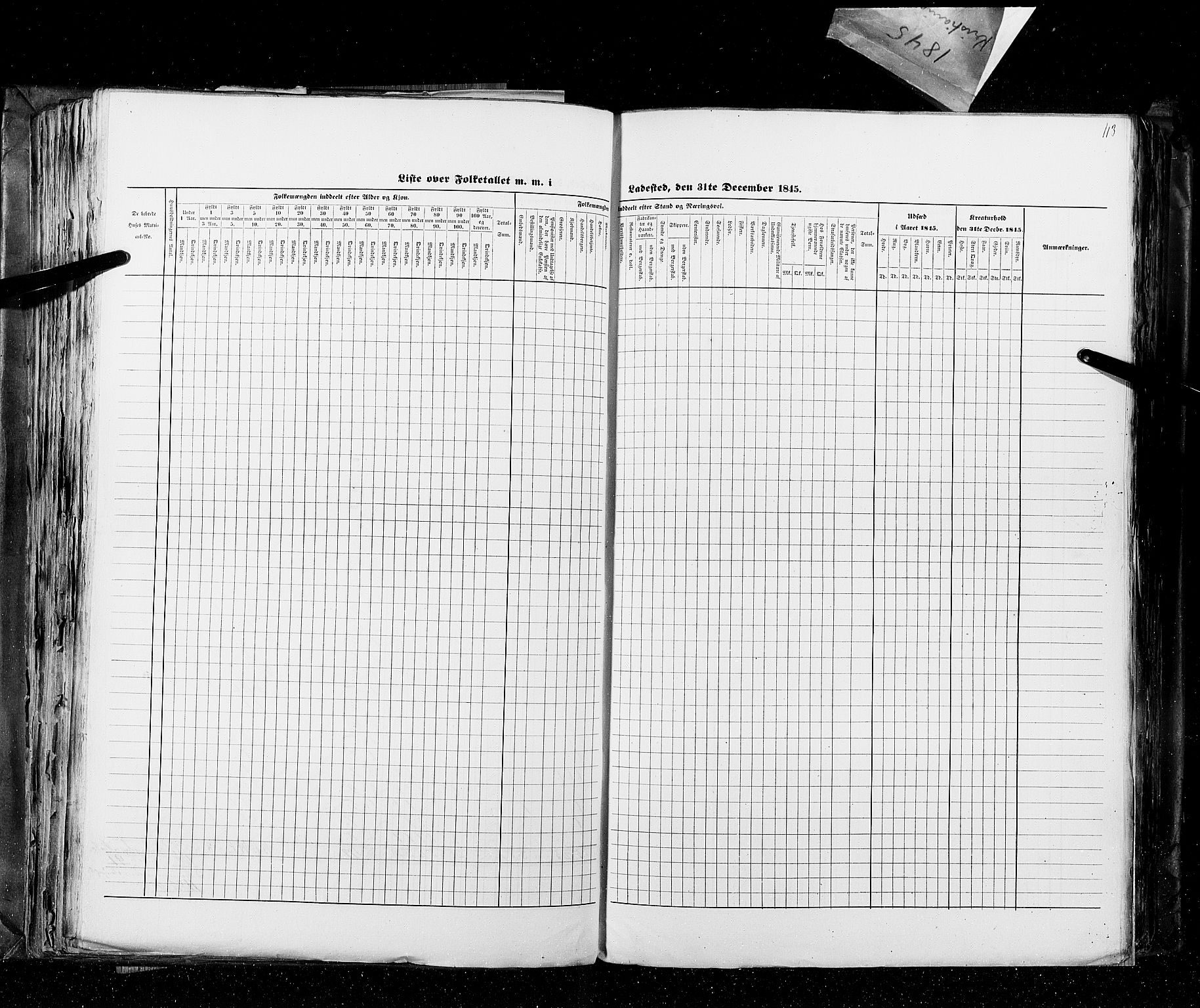 RA, Folketellingen 1845, bind 10: Kjøp- og ladesteder, 1845, s. 113