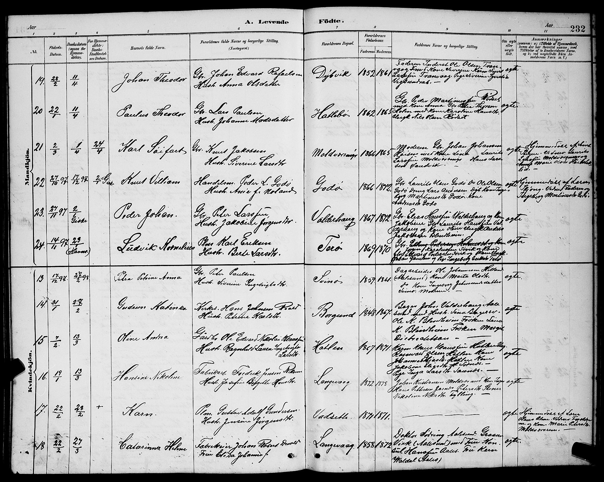 Ministerialprotokoller, klokkerbøker og fødselsregistre - Møre og Romsdal, AV/SAT-A-1454/528/L0431: Klokkerbok nr. 528C12, 1885-1898, s. 232