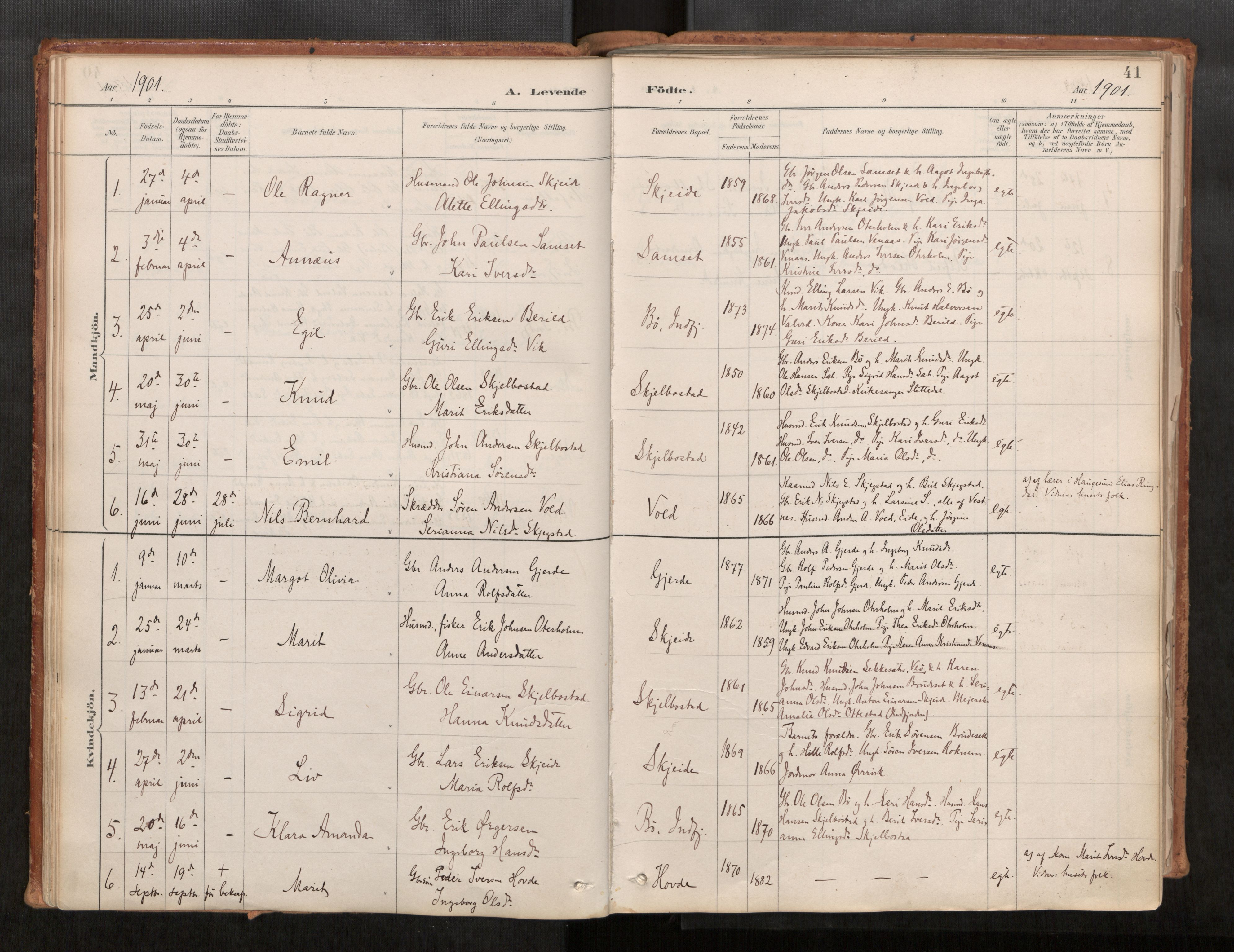 Ministerialprotokoller, klokkerbøker og fødselsregistre - Møre og Romsdal, AV/SAT-A-1454/543/L0568: Ministerialbok nr. 543A03, 1885-1915, s. 41