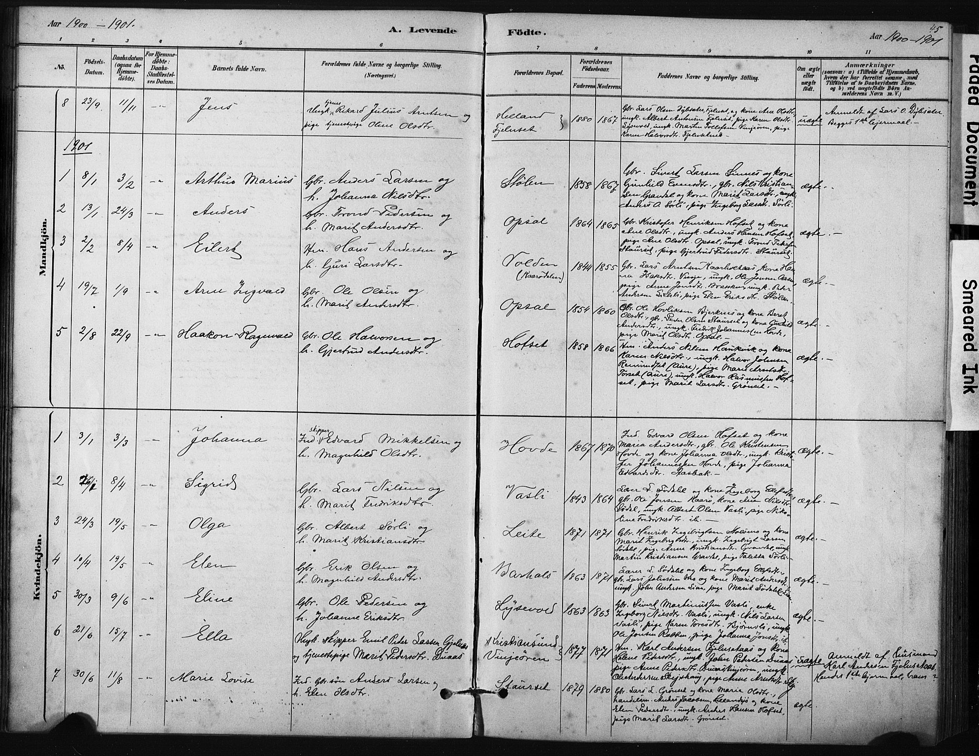 Ministerialprotokoller, klokkerbøker og fødselsregistre - Sør-Trøndelag, AV/SAT-A-1456/631/L0512: Ministerialbok nr. 631A01, 1879-1912, s. 45