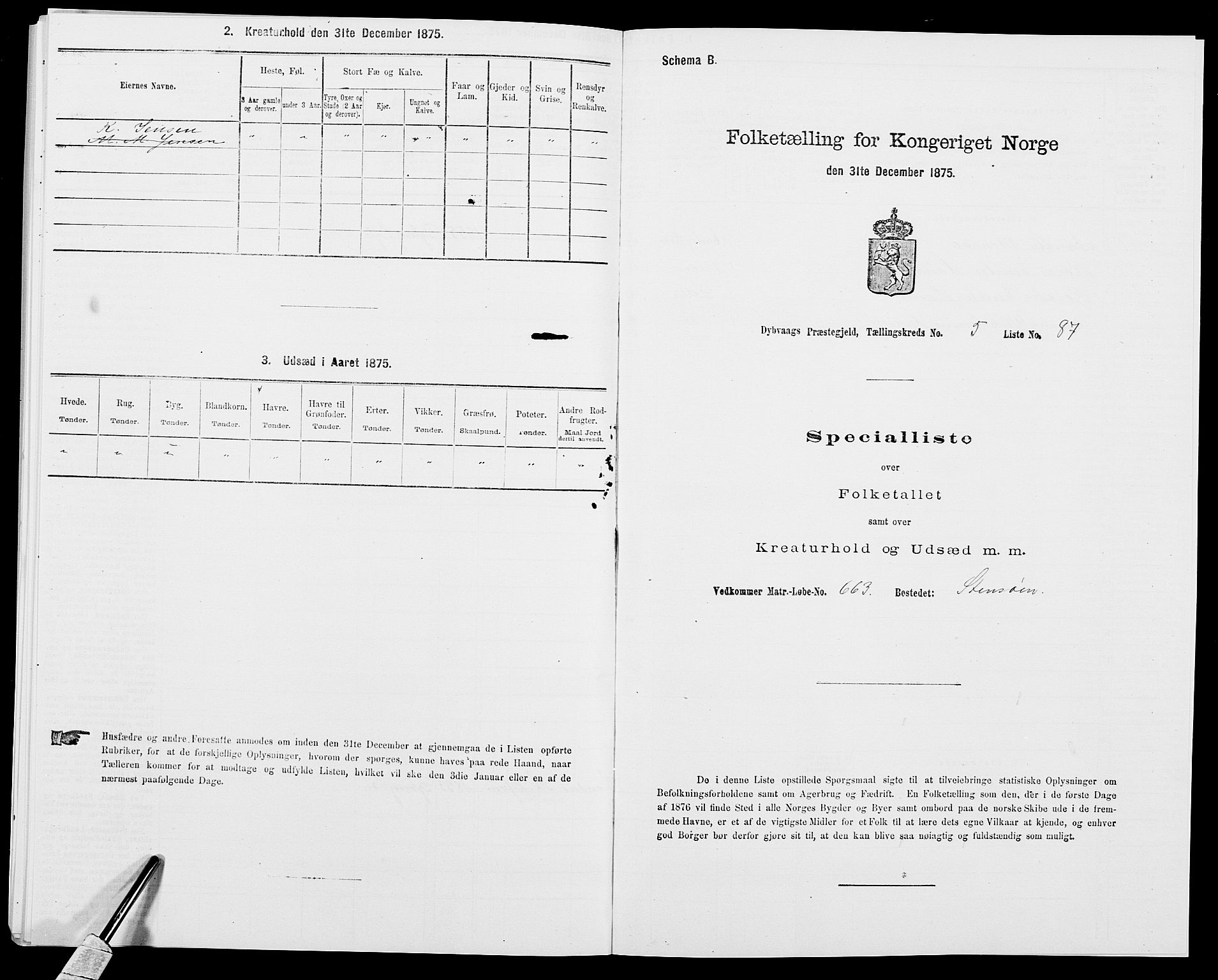 SAK, Folketelling 1875 for 0915P Dypvåg prestegjeld, 1875, s. 715