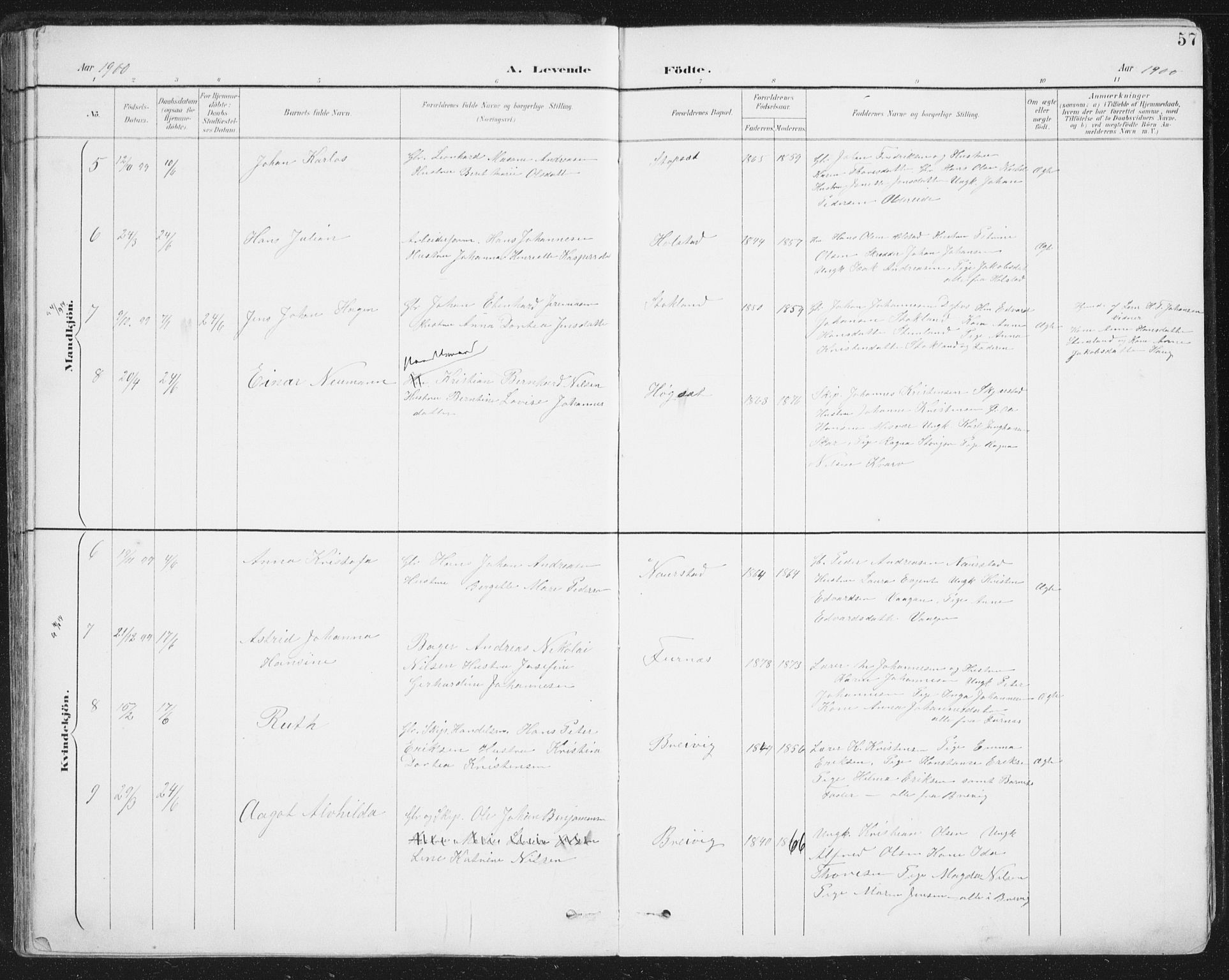 Ministerialprotokoller, klokkerbøker og fødselsregistre - Nordland, SAT/A-1459/852/L0741: Ministerialbok nr. 852A11, 1894-1917, s. 57