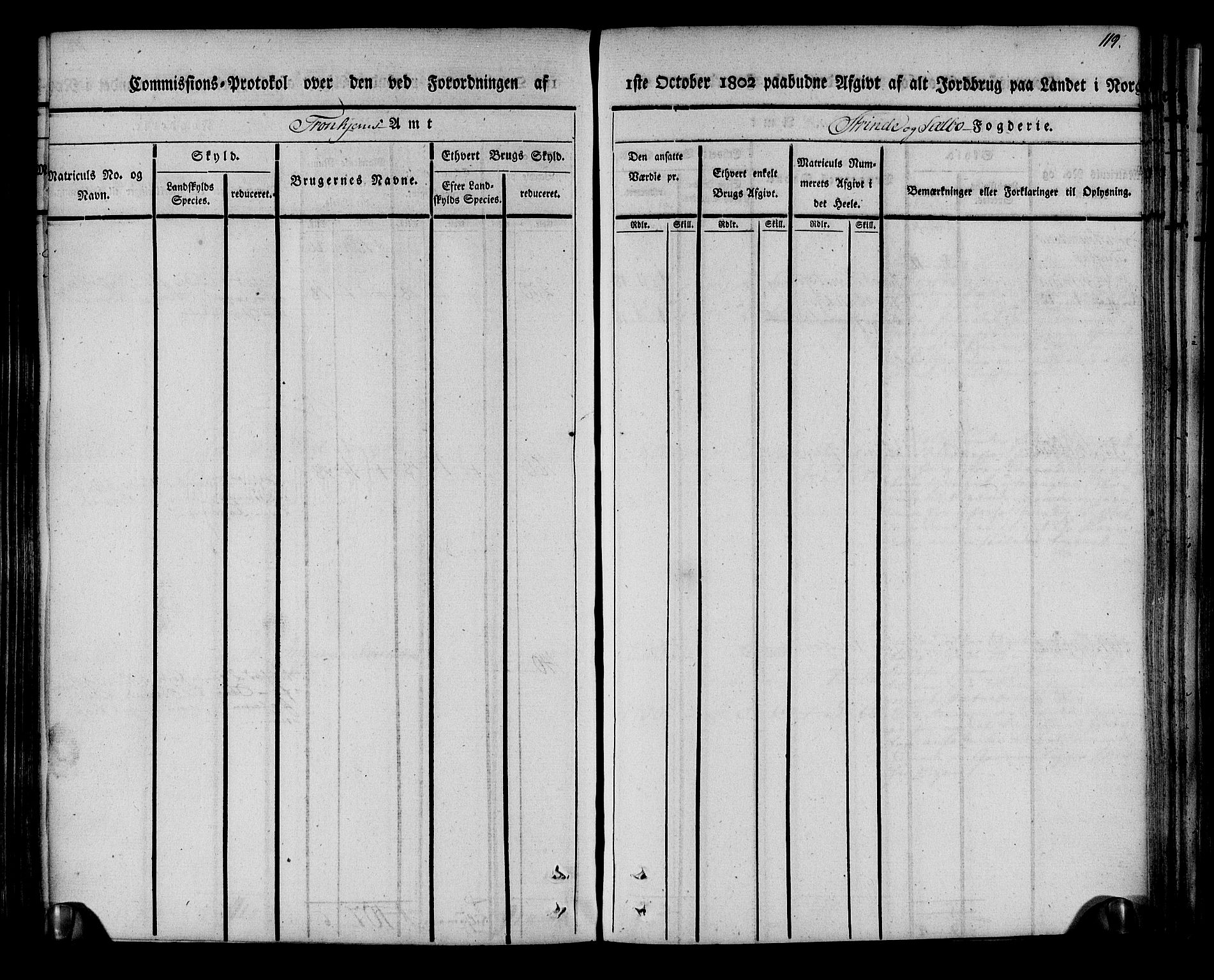 Rentekammeret inntil 1814, Realistisk ordnet avdeling, AV/RA-EA-4070/N/Ne/Nea/L0140: Strinda og Selbu fogderi. Kommisjonsprotokoll, 1803, s. 120