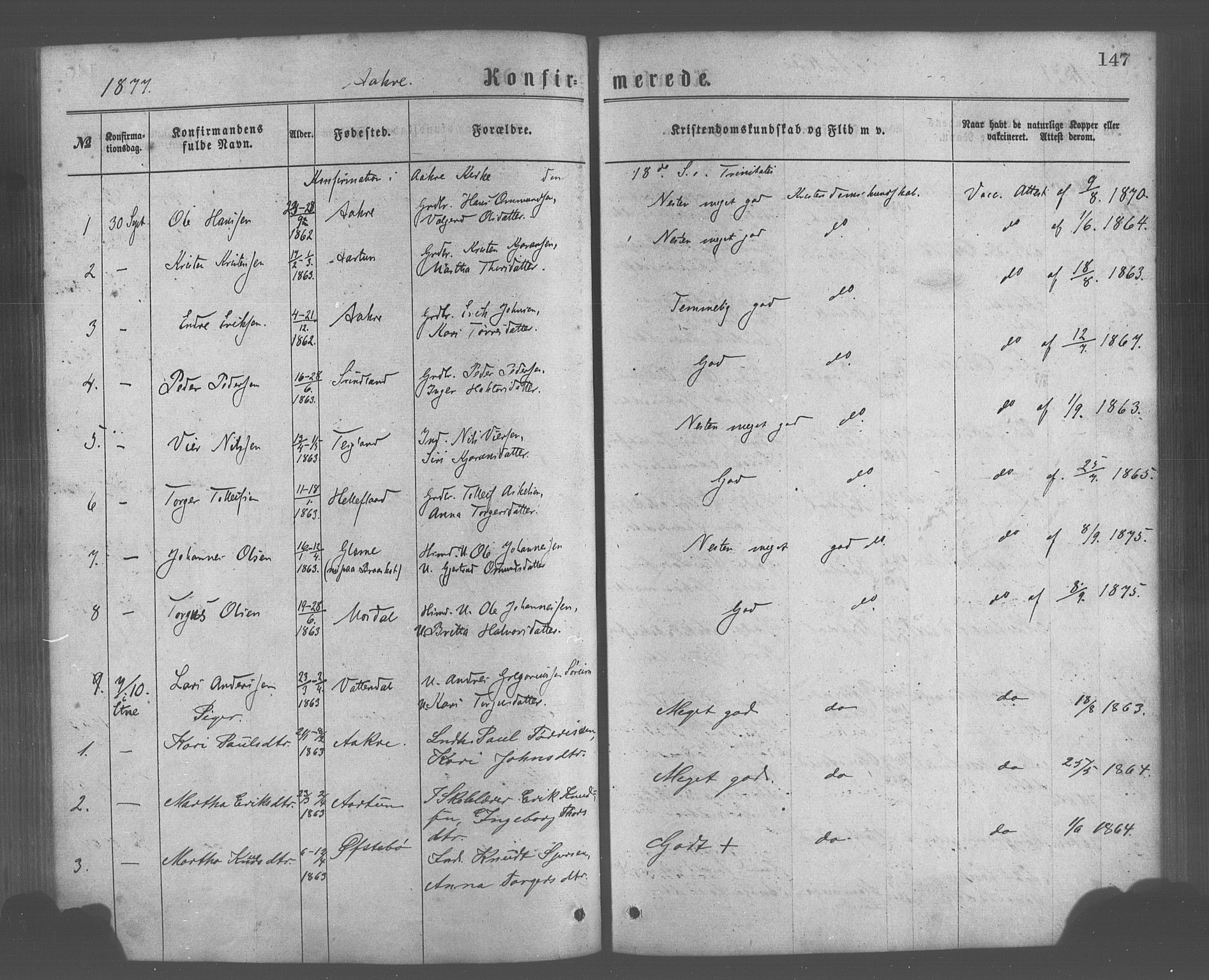 Skånevik sokneprestembete, AV/SAB-A-77801/H/Haa: Ministerialbok nr. A 6, 1869-1878, s. 147