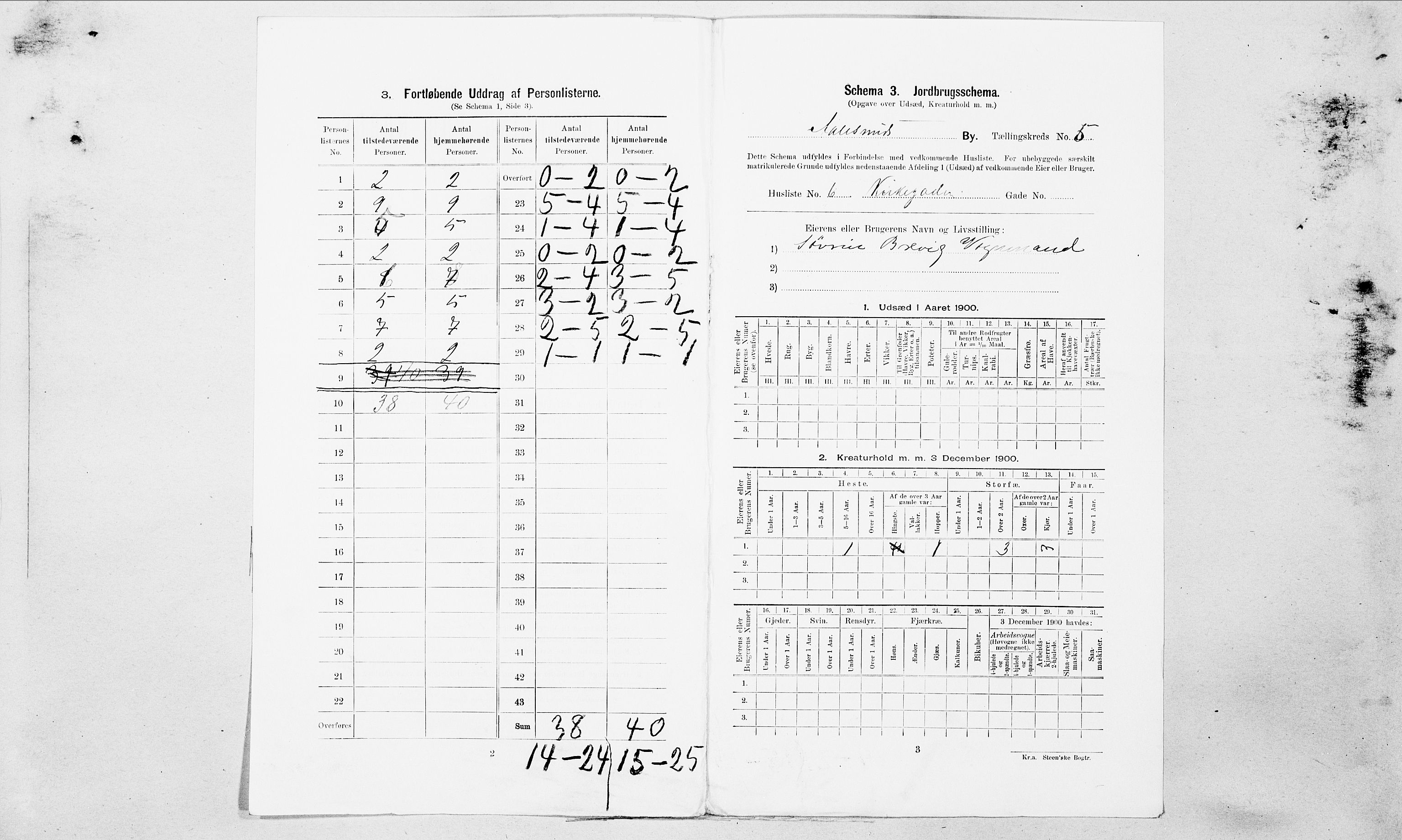 SAT, Folketelling 1900 for 1501 Ålesund kjøpstad, 1900, s. 1198