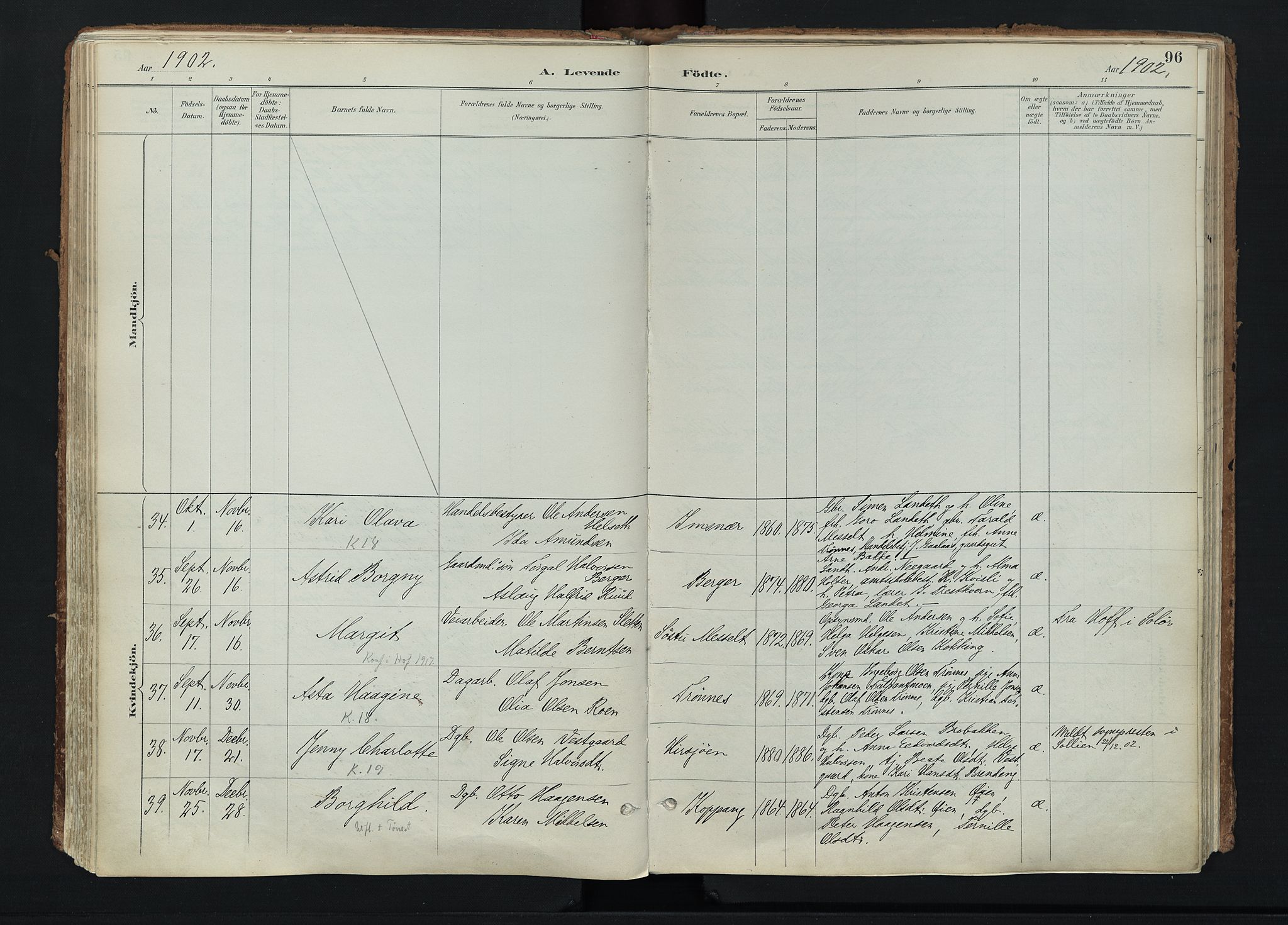 Stor-Elvdal prestekontor, AV/SAH-PREST-052/H/Ha/Haa/L0004: Ministerialbok nr. 4, 1890-1922, s. 96