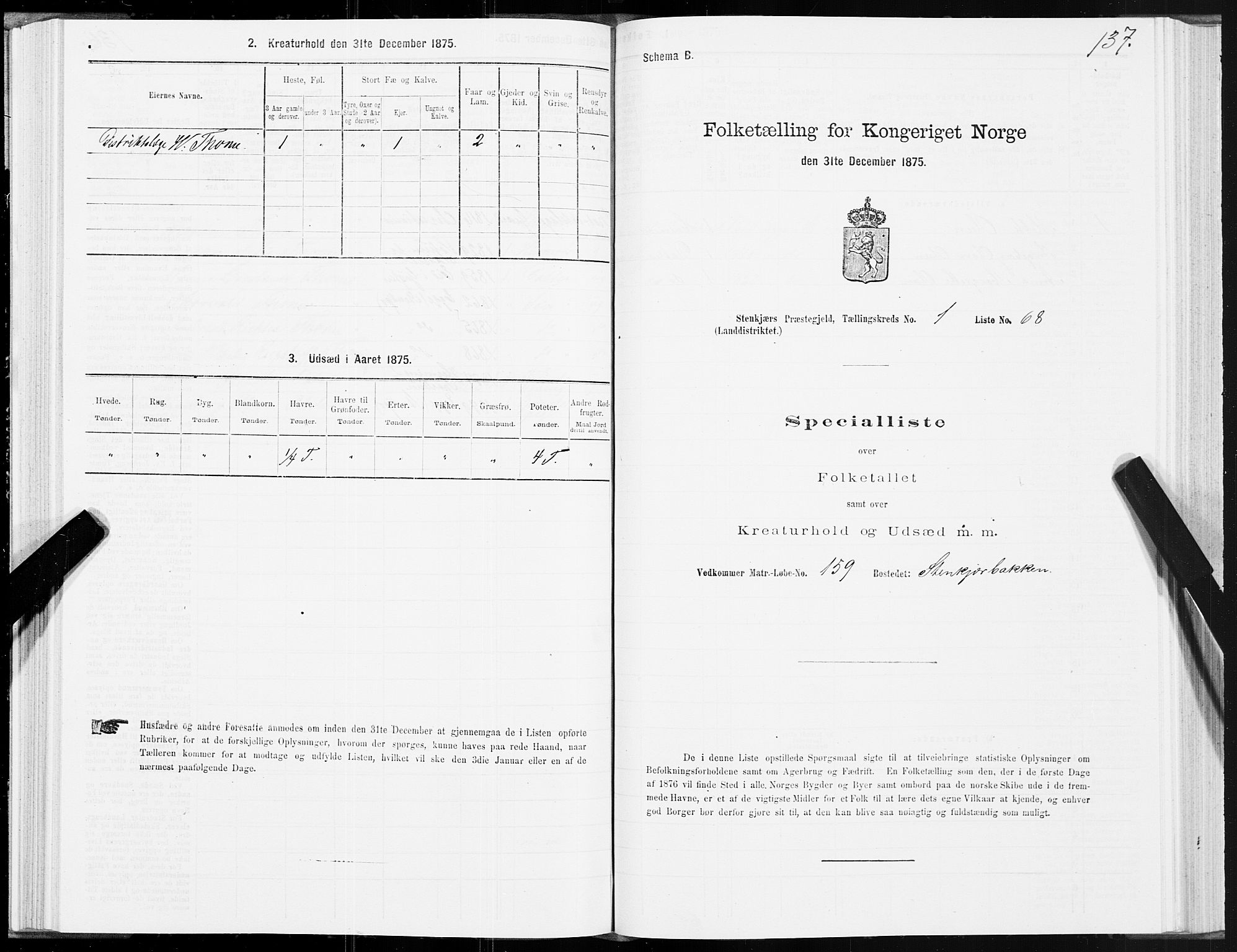 SAT, Folketelling 1875 for 1733L Steinkjer prestegjeld, Egge sokn, 1875, s. 1137