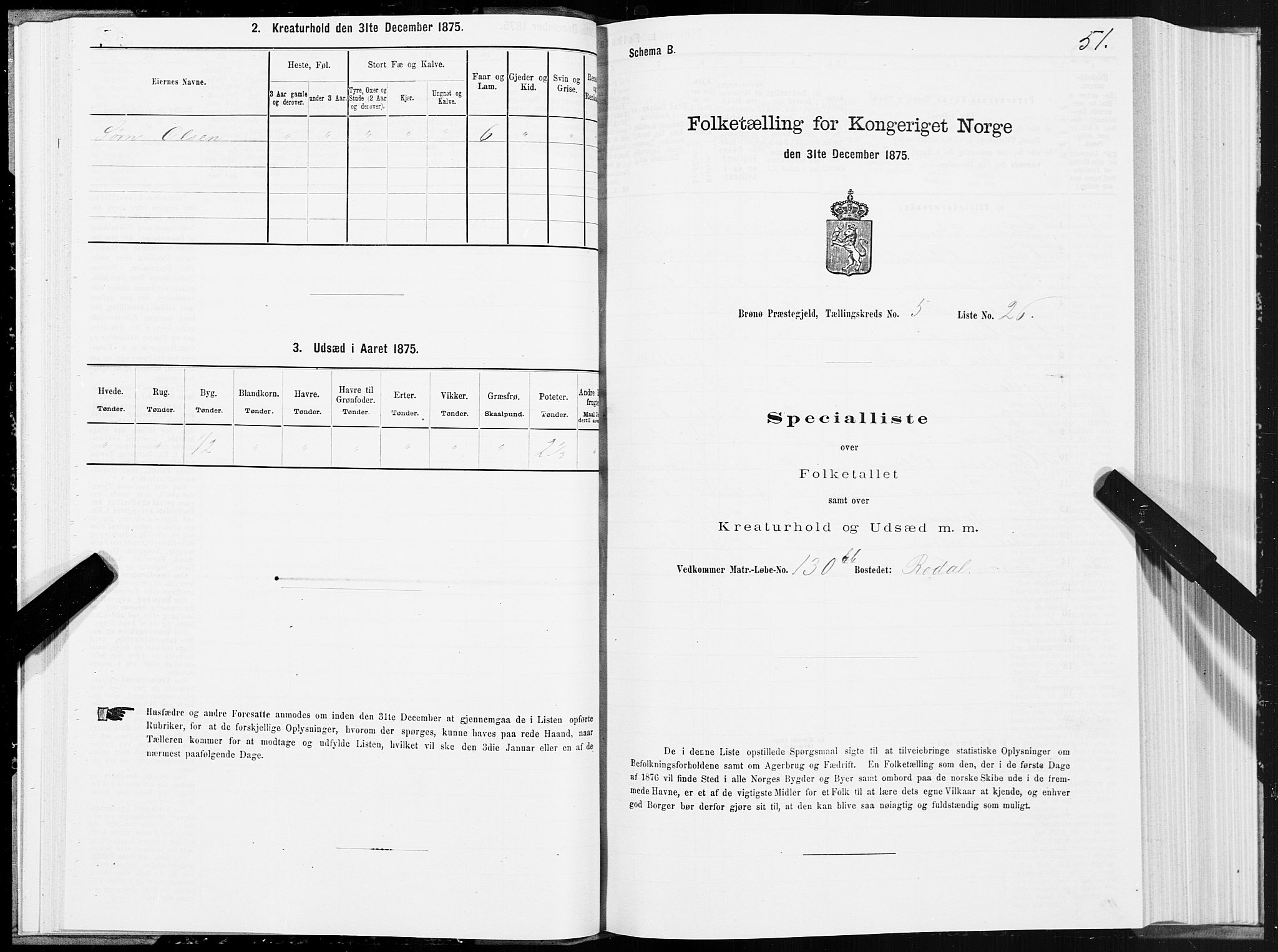 SAT, Folketelling 1875 for 1814P Brønnøy prestegjeld, 1875, s. 3051