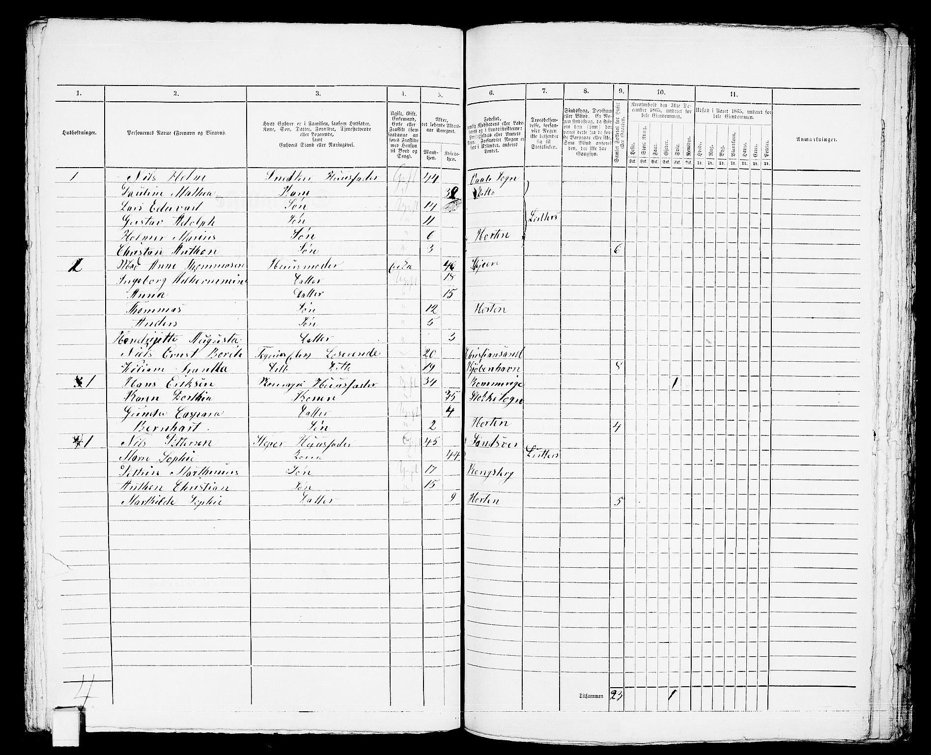 RA, Folketelling 1865 for 0703 Horten ladested, 1865, s. 731