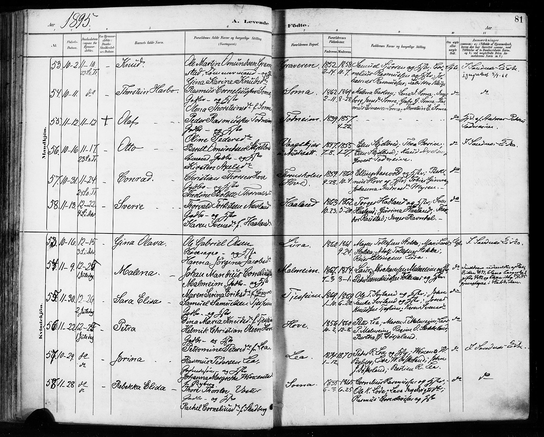 Høyland sokneprestkontor, AV/SAST-A-101799/001/30BA/L0013: Ministerialbok nr. A 13.1, 1889-1898, s. 81