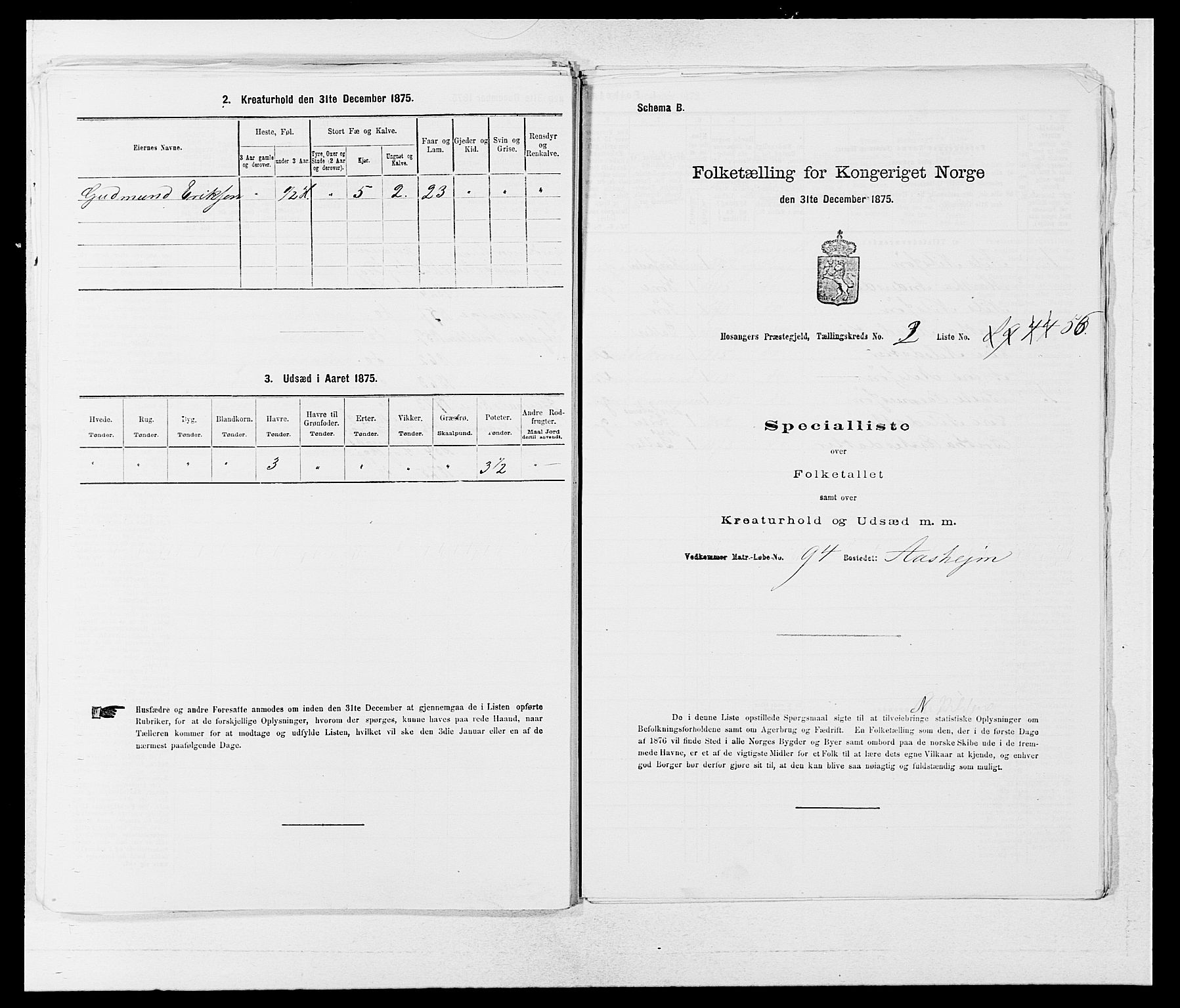 SAB, Folketelling 1875 for 1253P Hosanger prestegjeld, 1875, s. 265