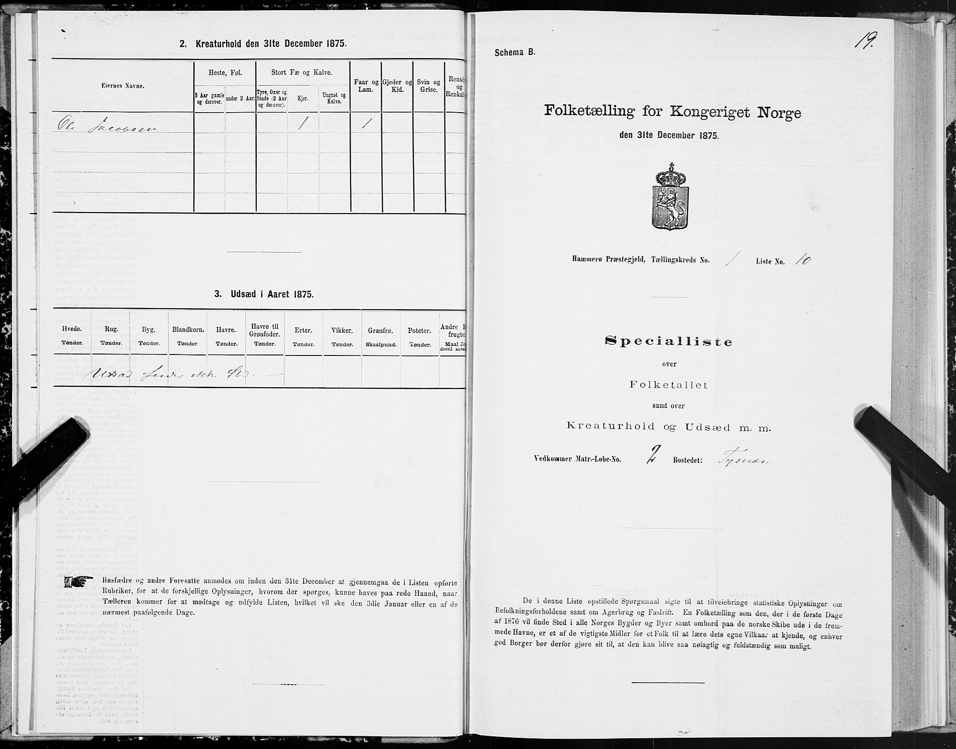 SAT, Folketelling 1875 for 1849P Hamarøy prestegjeld, 1875, s. 1019