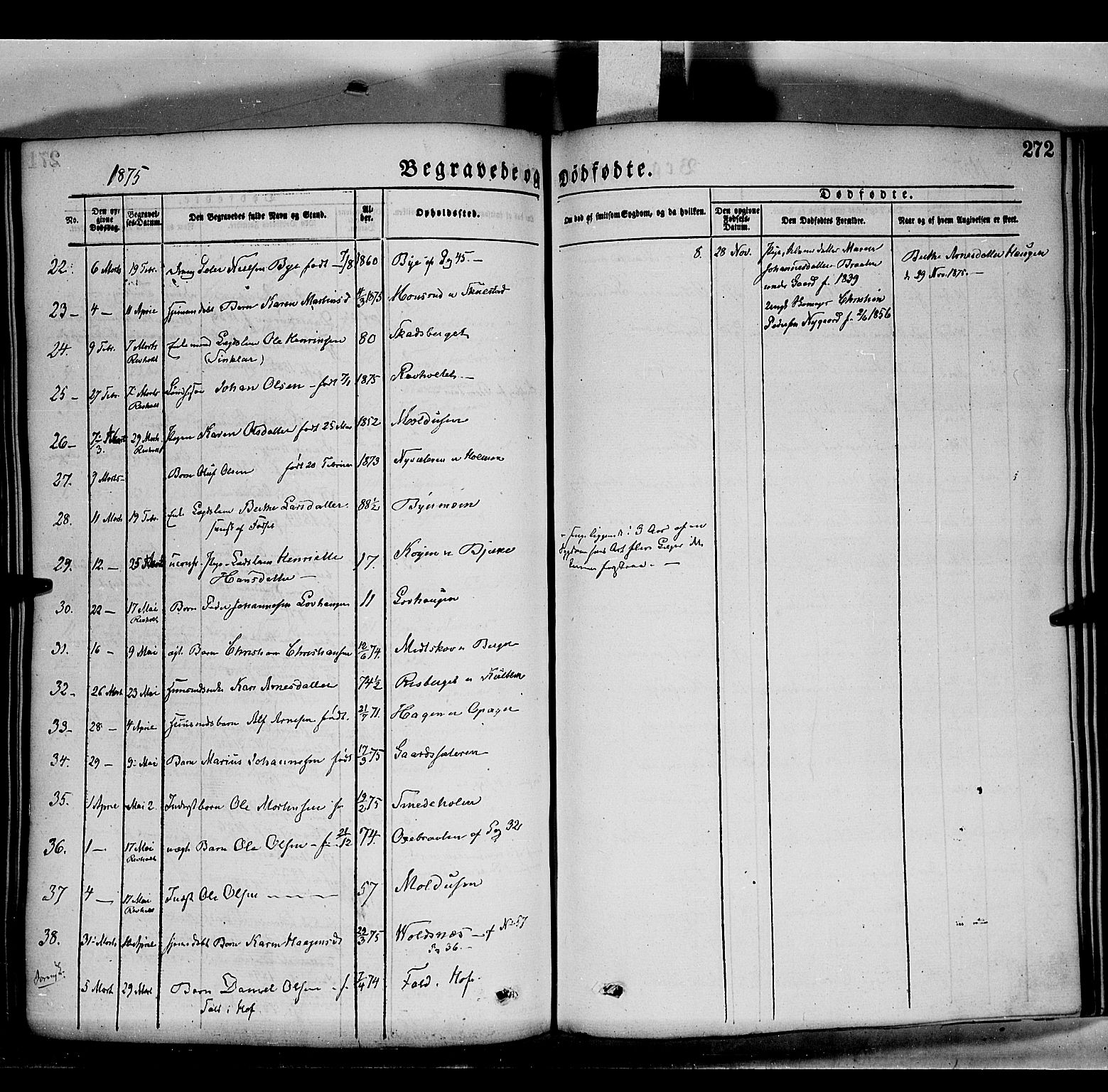Grue prestekontor, AV/SAH-PREST-036/H/Ha/Haa/L0011: Ministerialbok nr. 11, 1873-1880, s. 272