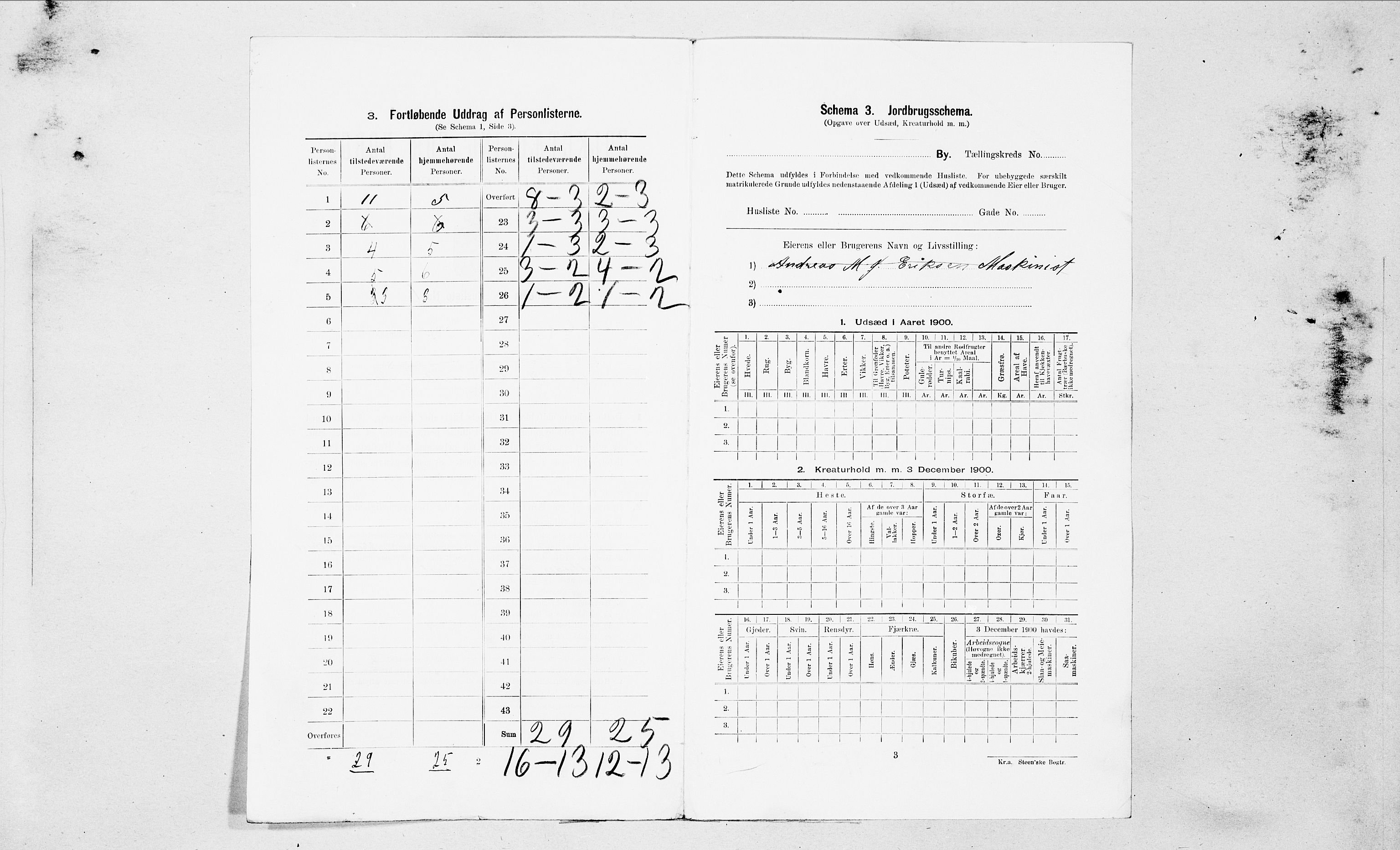 SAT, Folketelling 1900 for 1501 Ålesund kjøpstad, 1900, s. 297