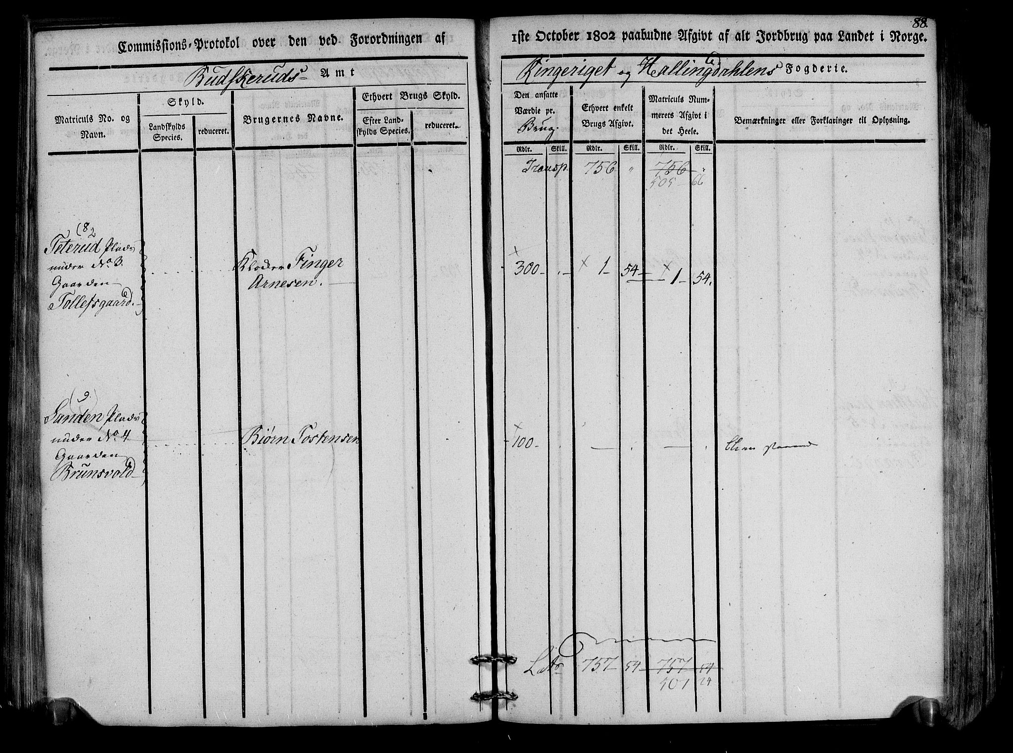 Rentekammeret inntil 1814, Realistisk ordnet avdeling, RA/EA-4070/N/Ne/Nea/L0047: Ringerike og Hallingdal fogderi. Kommisjonsprotokoll for Nes prestegjeld, 1803, s. 91