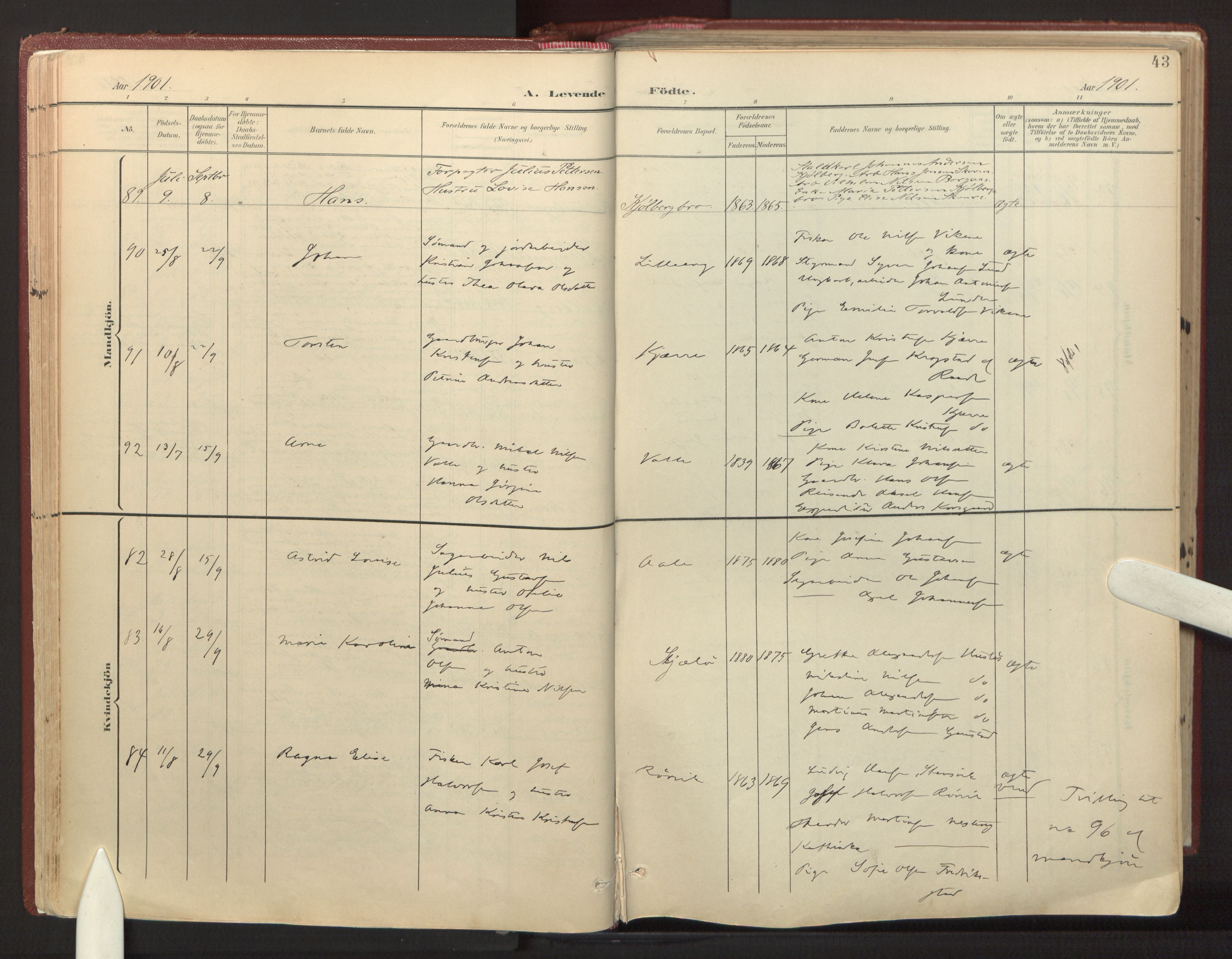 Onsøy prestekontor Kirkebøker, AV/SAO-A-10914/F/Fa/L0008: Ministerialbok nr. I 8, 1899-1923, s. 43