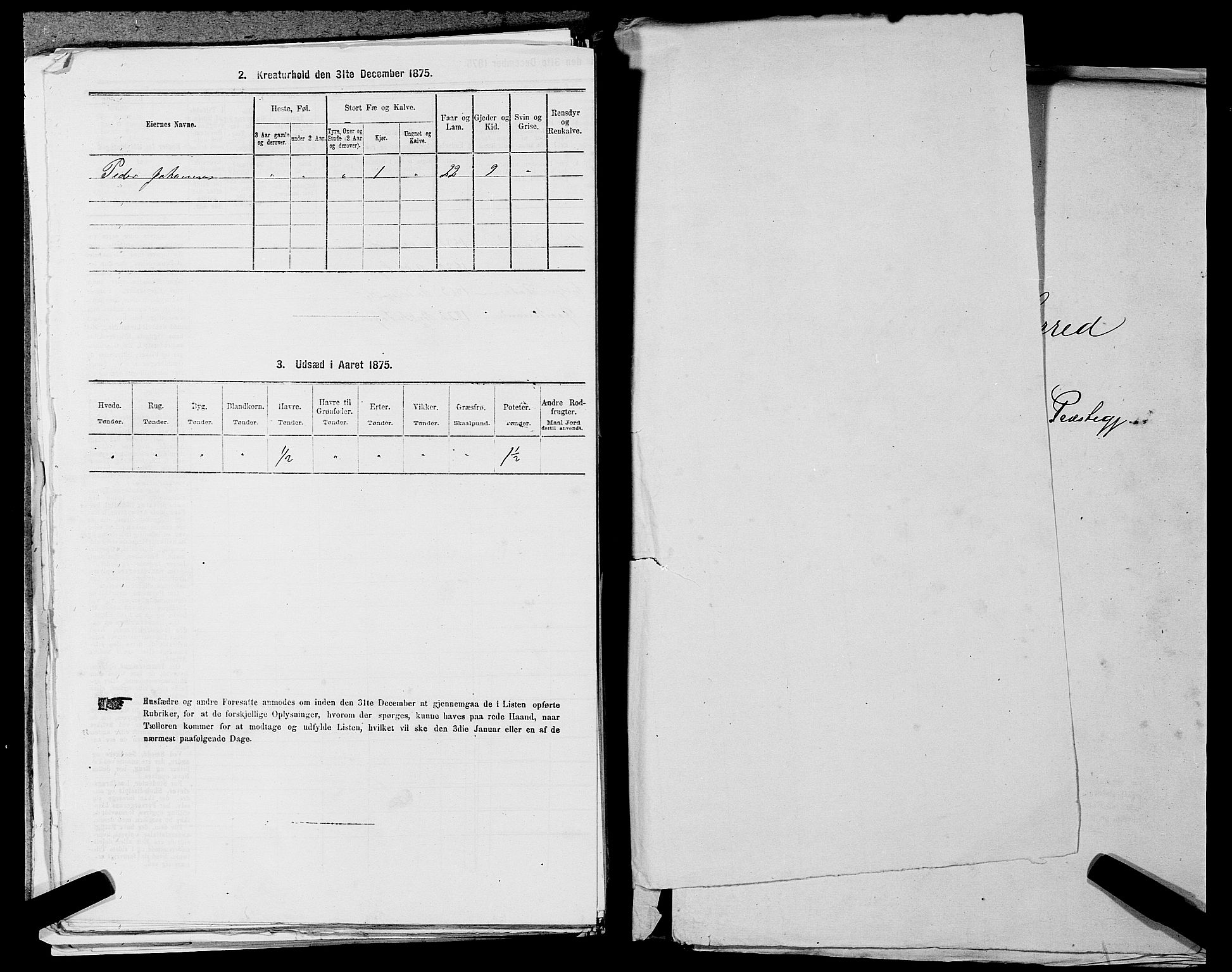 SAST, Folketelling 1875 for 1133P Hjelmeland prestegjeld, 1875, s. 1529